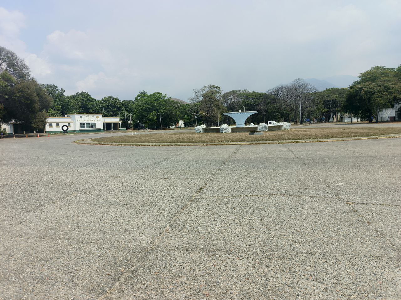 1001461254.jpg