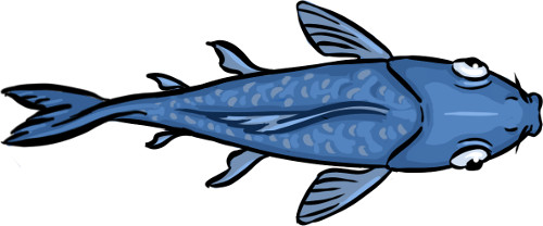 minnow.jpg