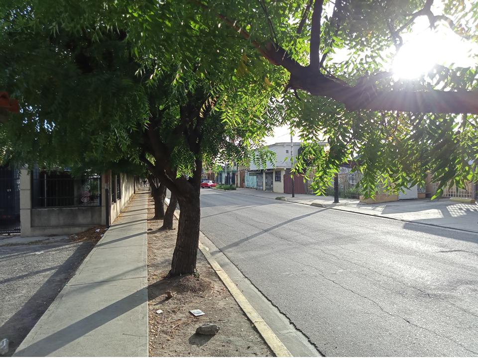 IMAGE1.jpg