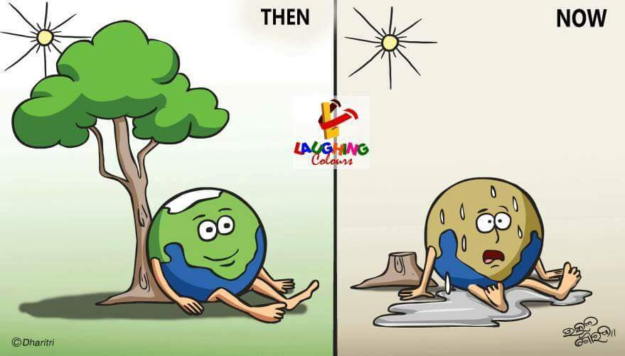 FB_IMG_1527170344224.jpg