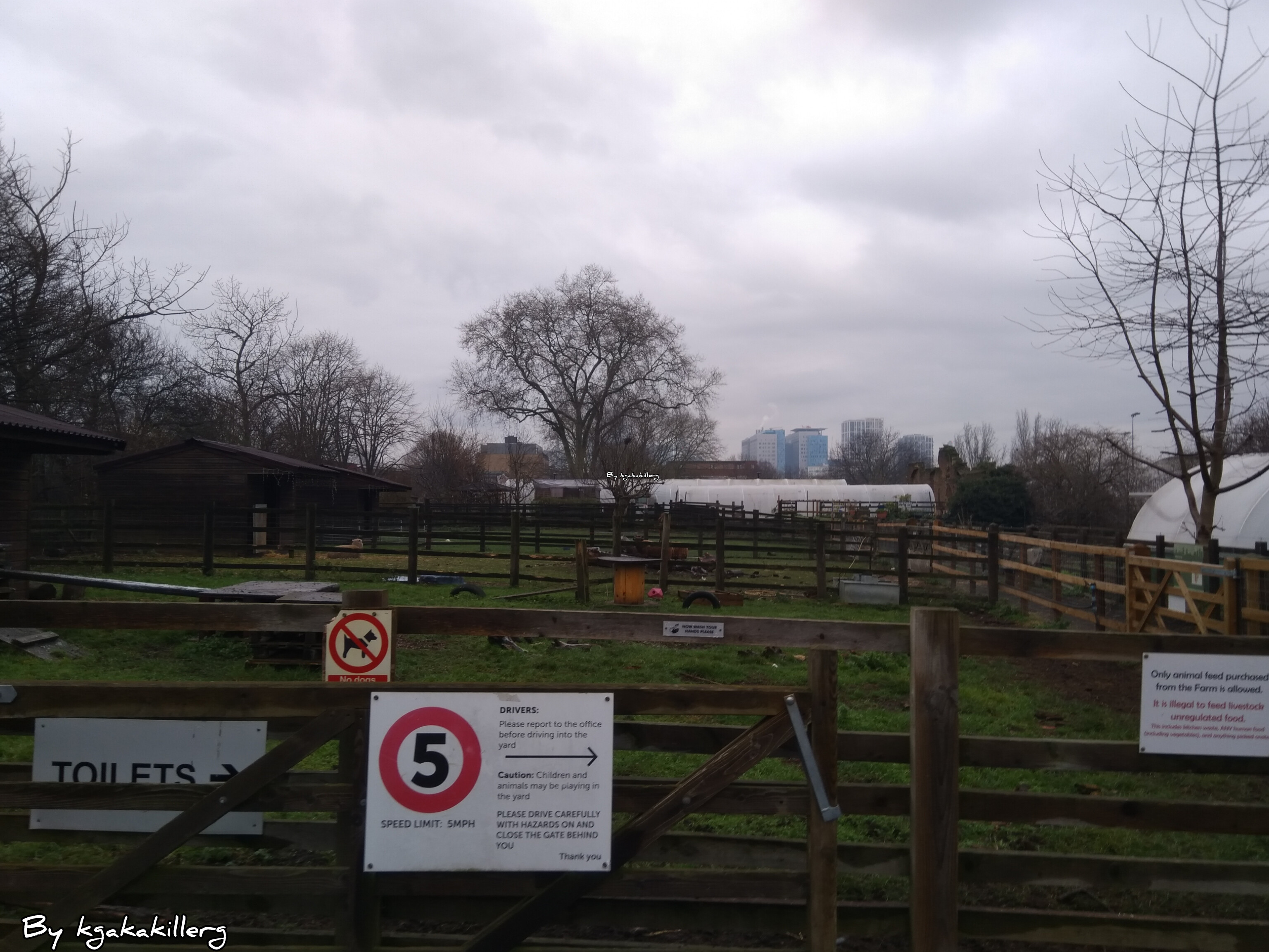kgakakillerg original content A Trip To Stepney City Farm| Walk Around Stepney City Farm January 2025 part 1 💯 Original Content