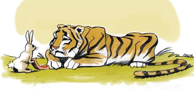 liebre_tigre.jpg
