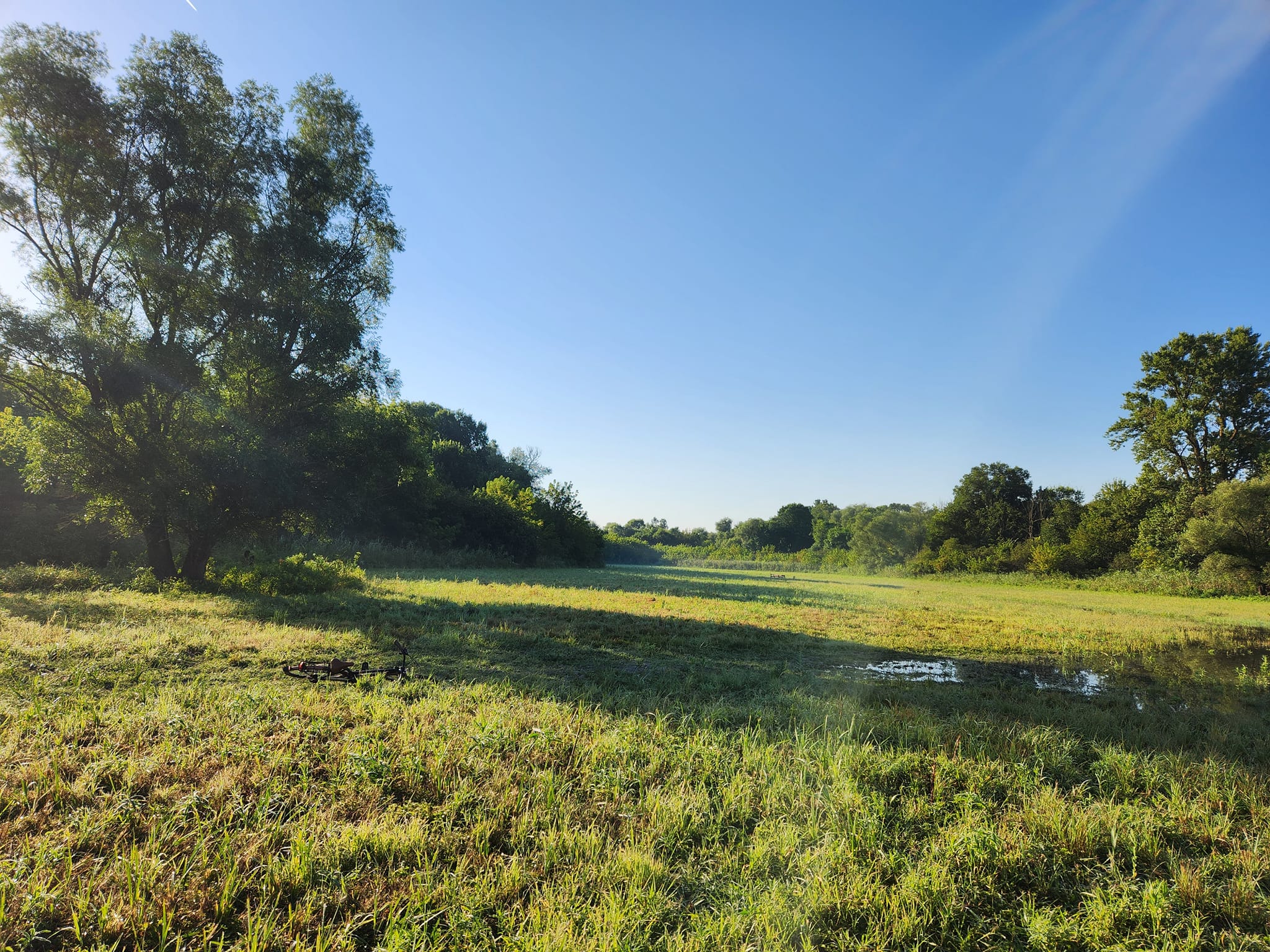 Amazin googd morning in Liberland 3.jpg