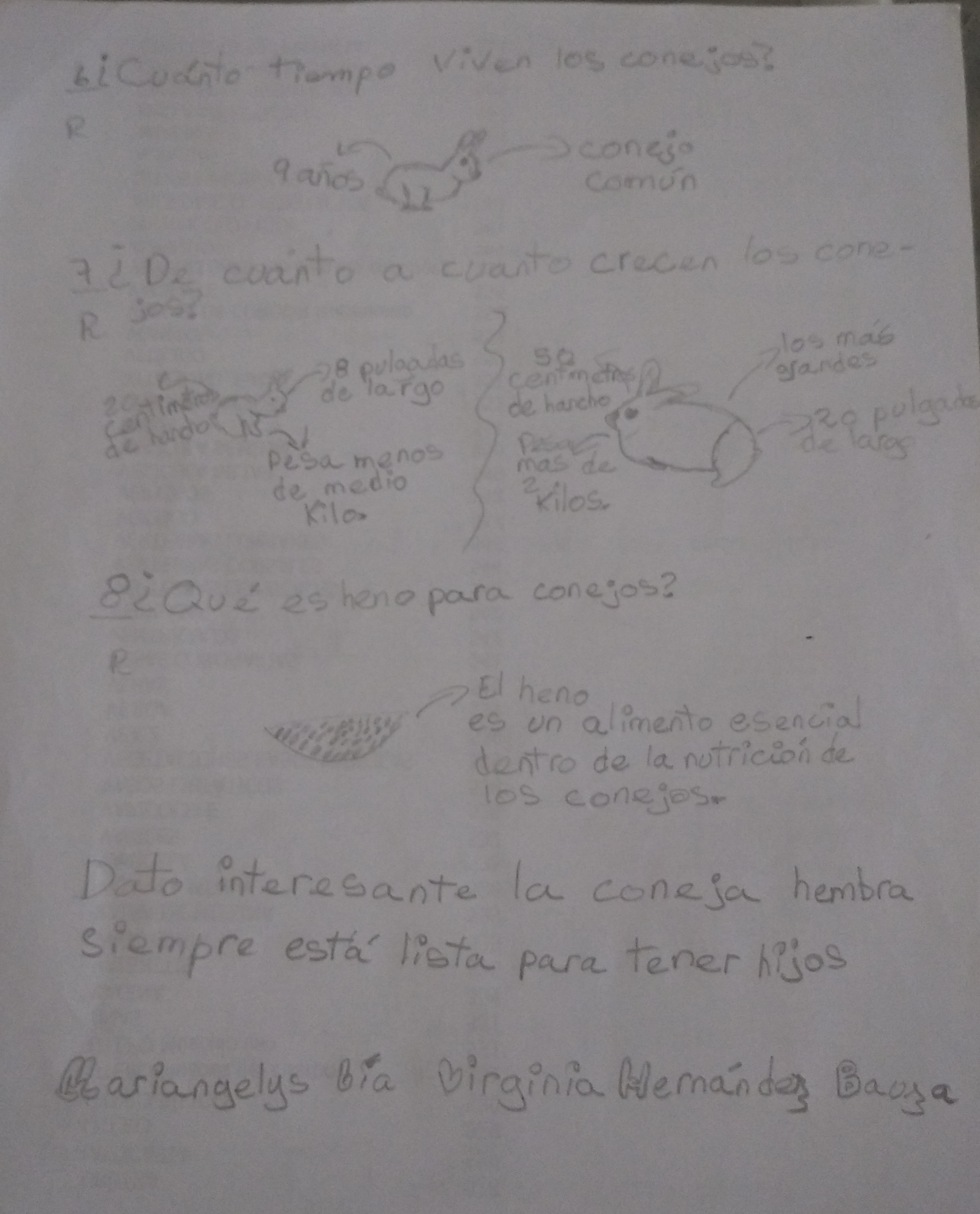 IMG_20201006_160646.jpg