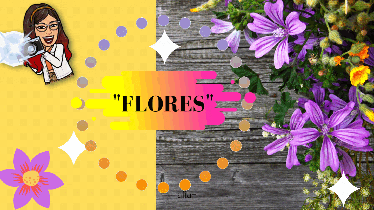 flores.gif