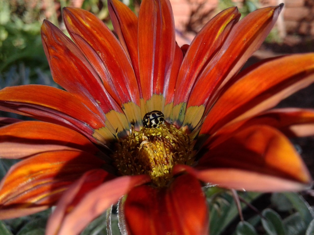 thumbnail_20180716_145046.jpg