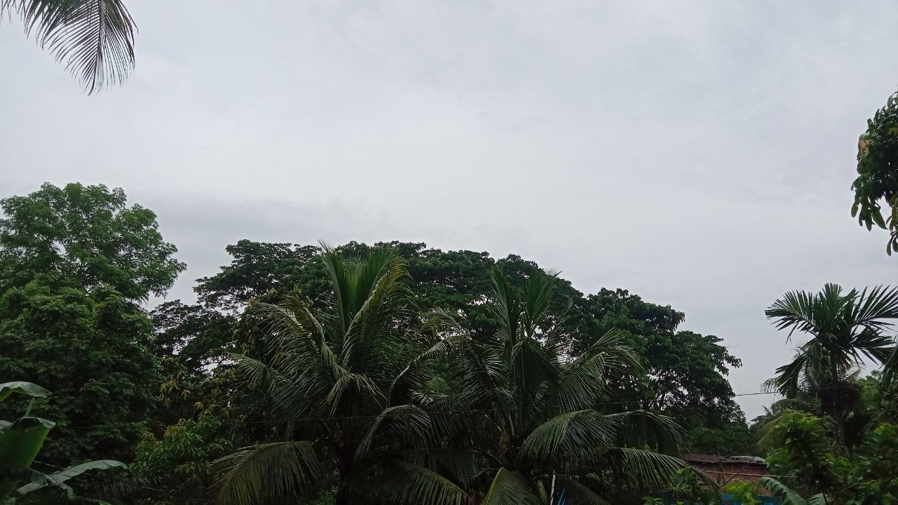 IMG_20251008_094639_843.jpg