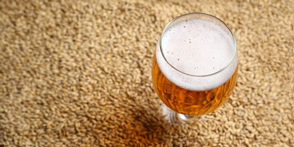 보리농사가 먼저였을까? 맥주가 먼저였을까? 이스라엘 동굴에서 발견된 고대 "맥주"의 흔적