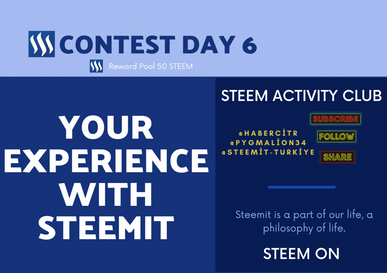 contest day6.gif
