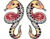 gemini-white-mailer-min_120x95.jpg