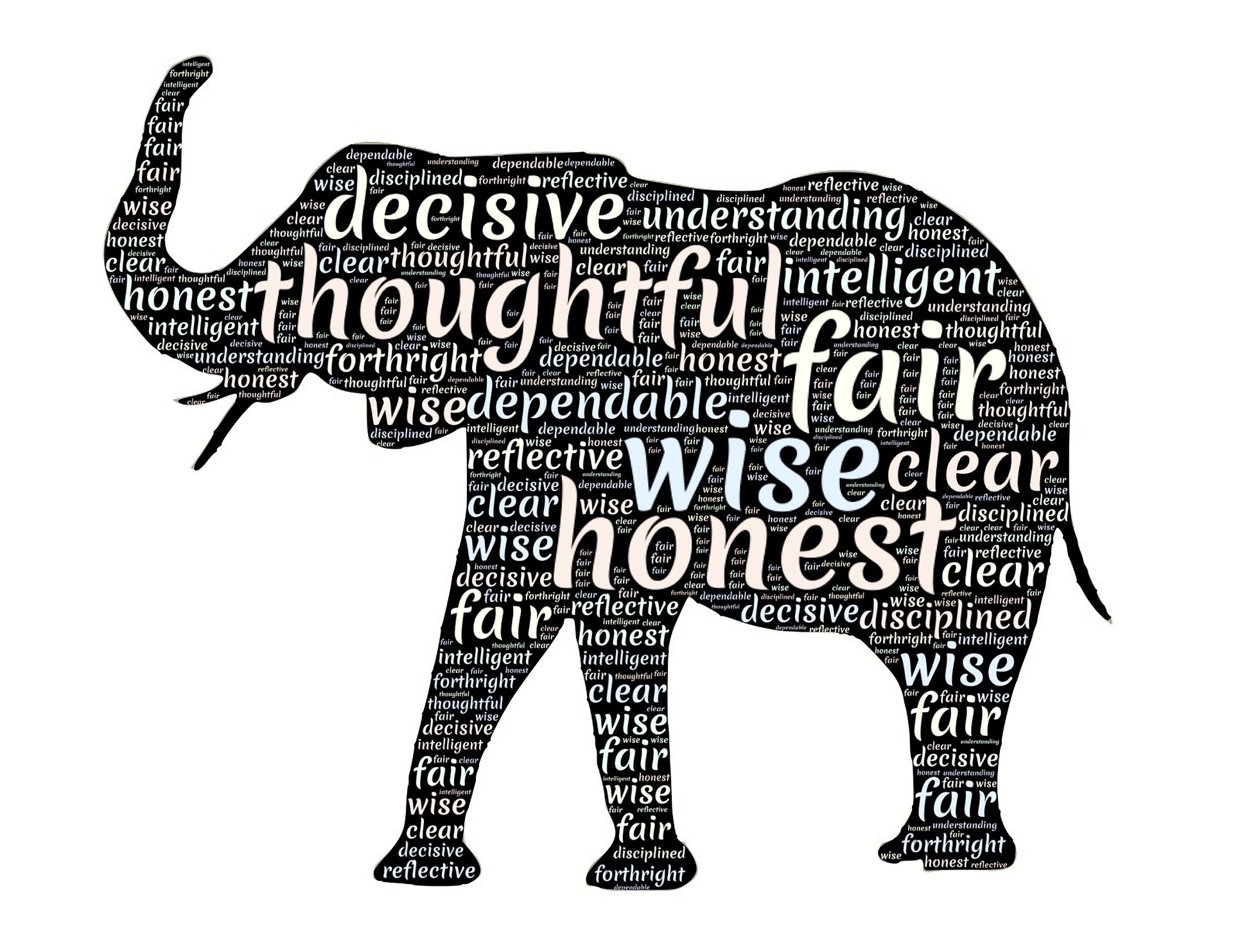 elephant-656439_1920.jpg