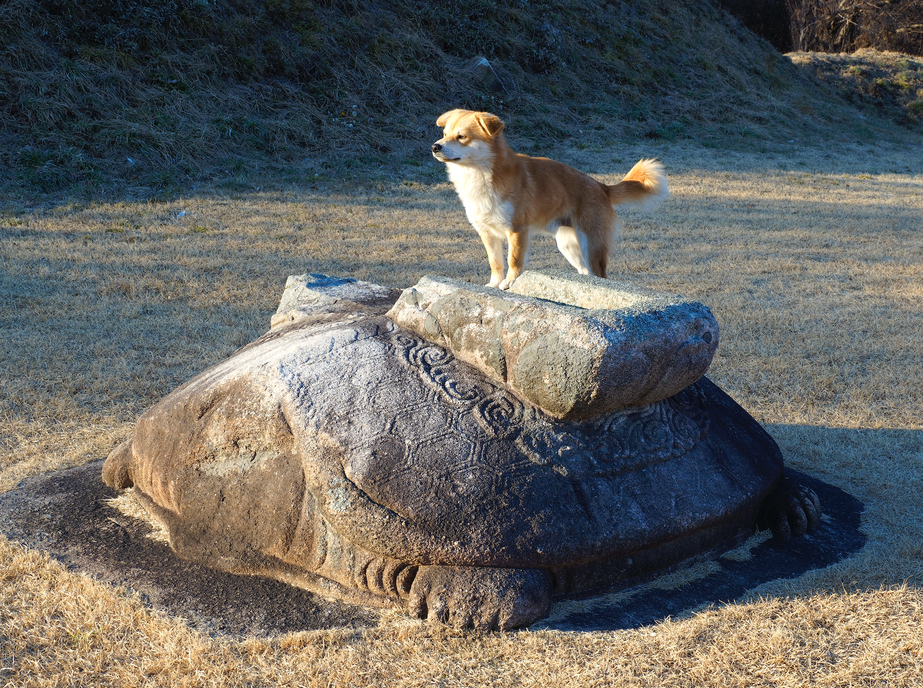 스크린샷 2019-03-31 오후 11.07.07.png