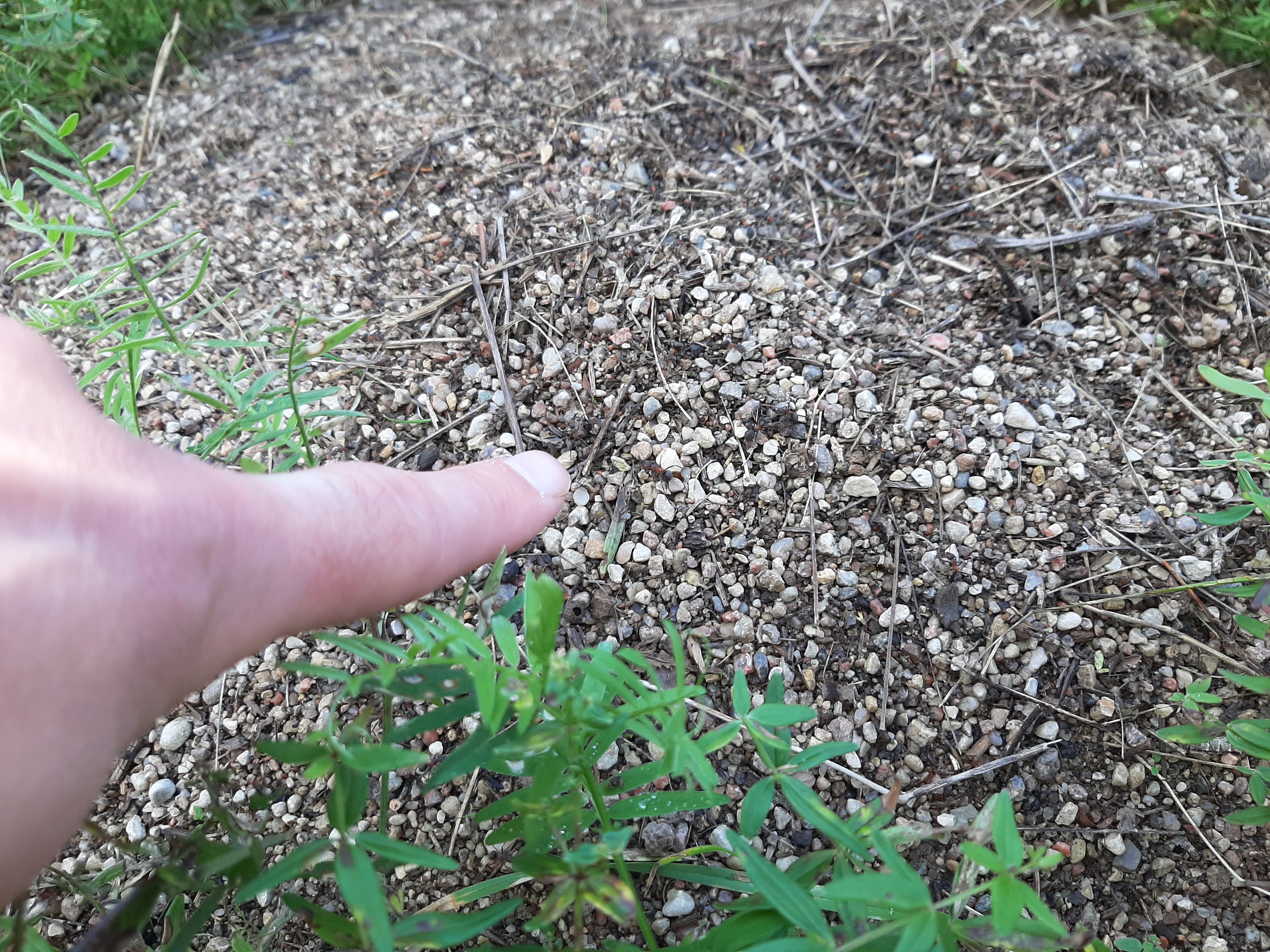 20260914_144203.jpg