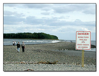 charlesislandwalk.jpg