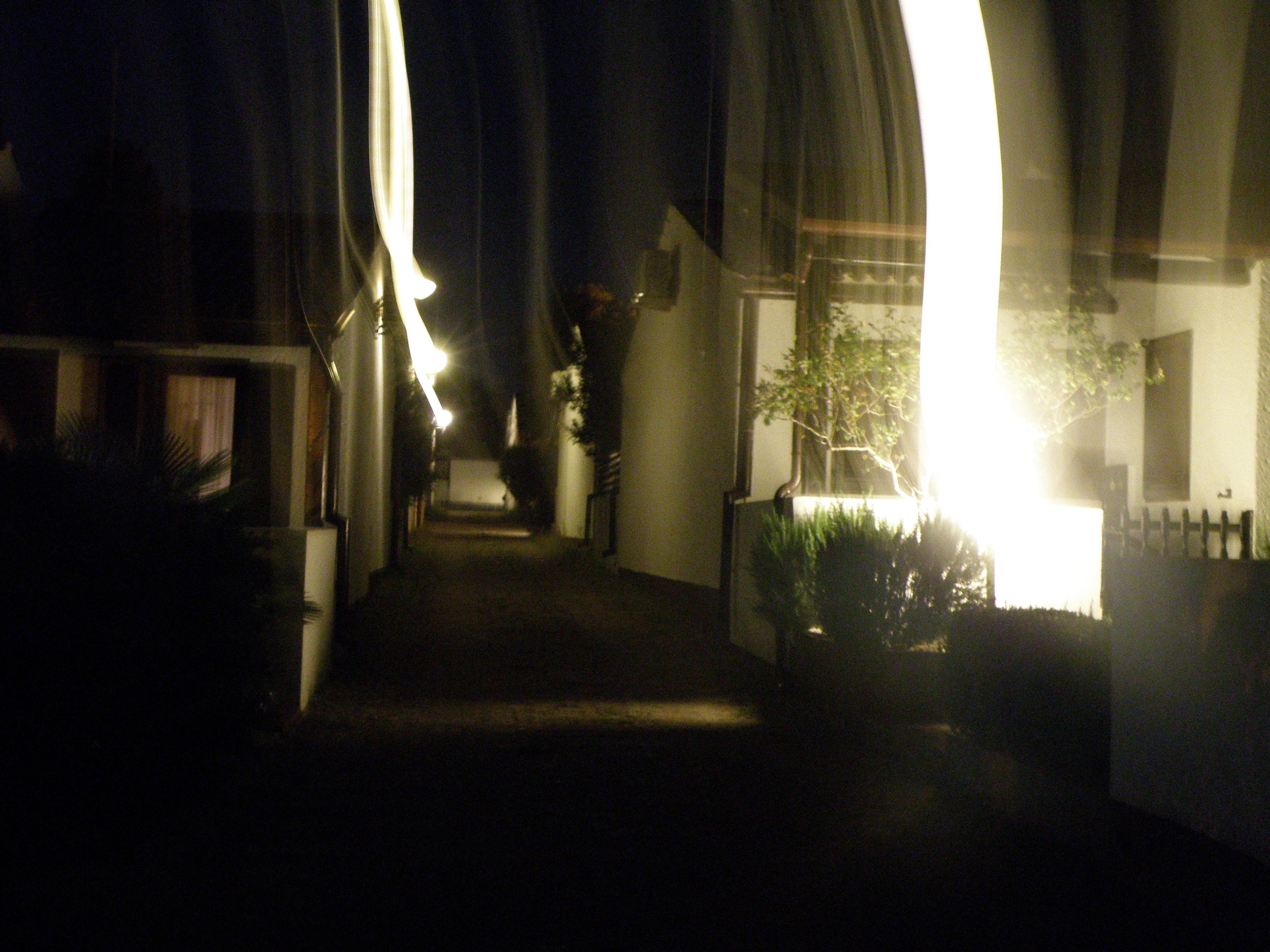 P1010336.JPG