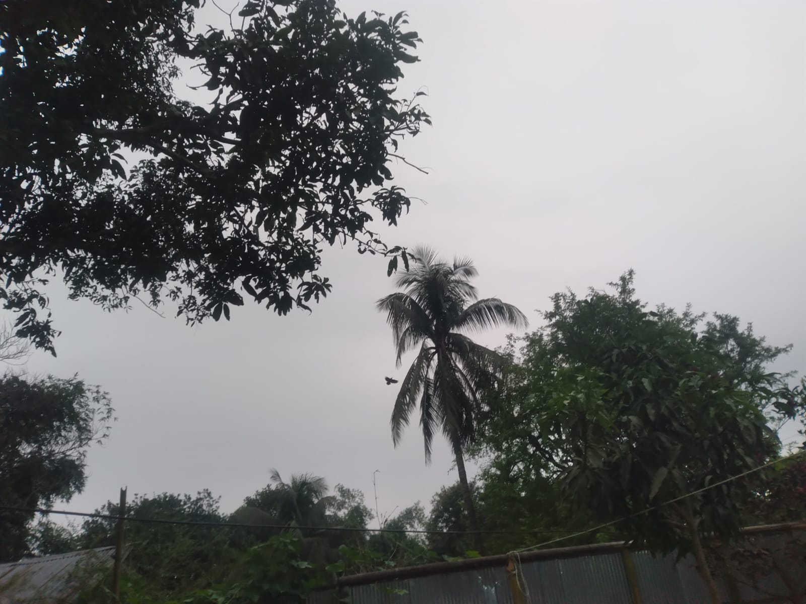 40141.jpg