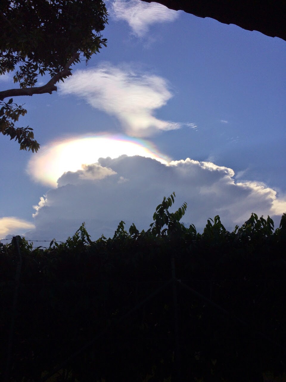 Sun Glare.jpg