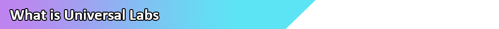 Section Header_1.png