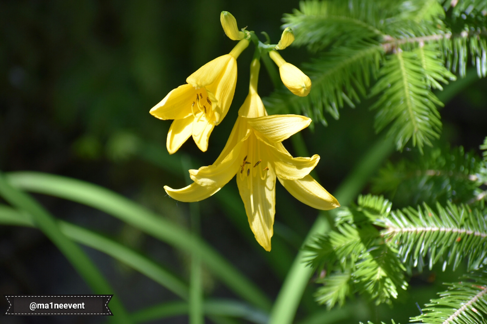 20180616_182704.jpg