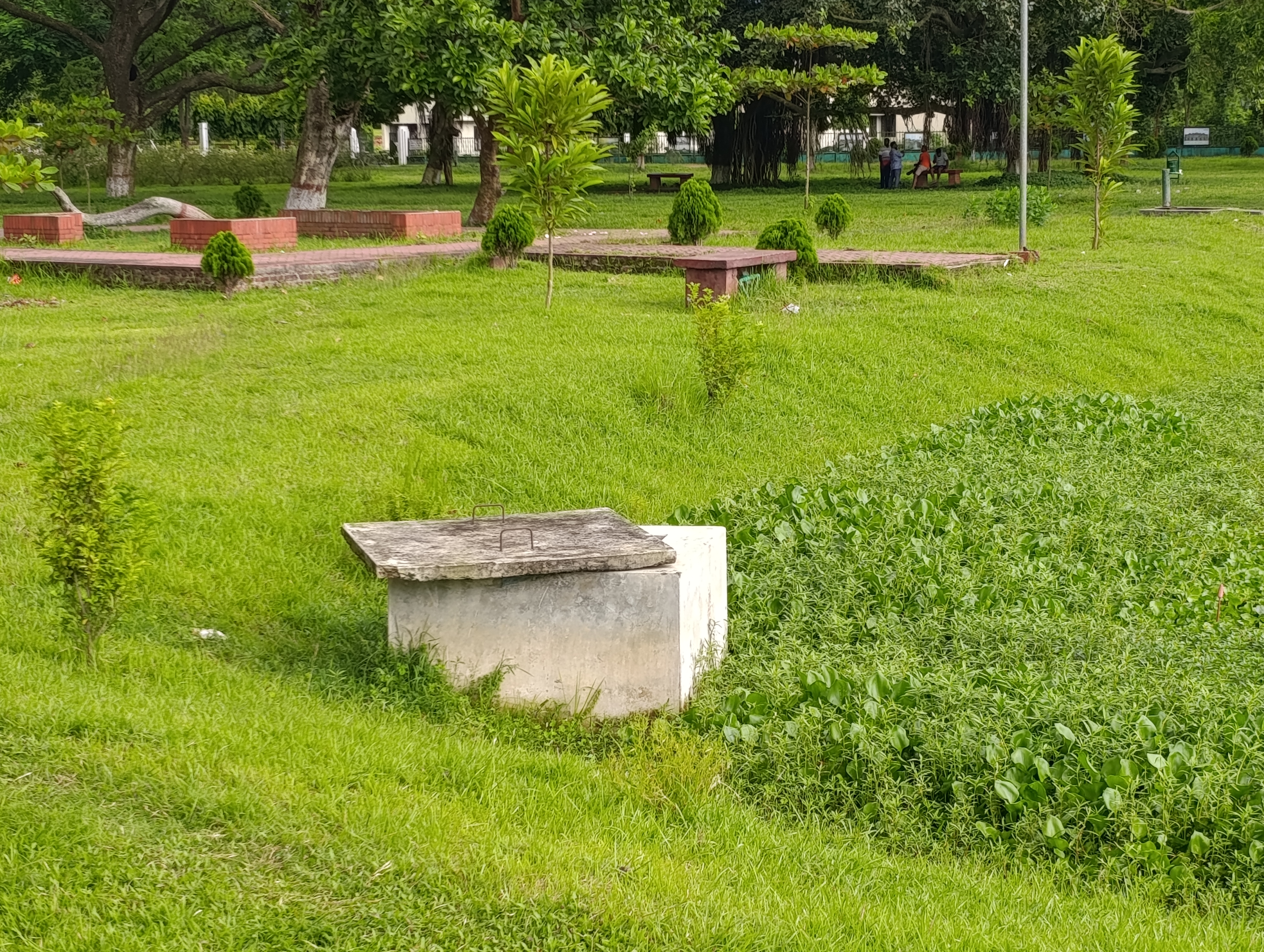1000059291.jpg