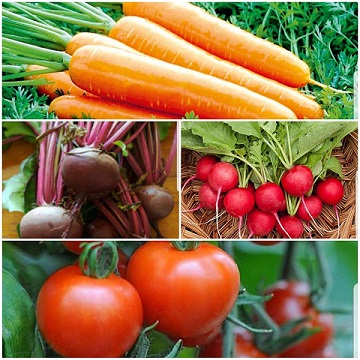 veg 2019.jpg