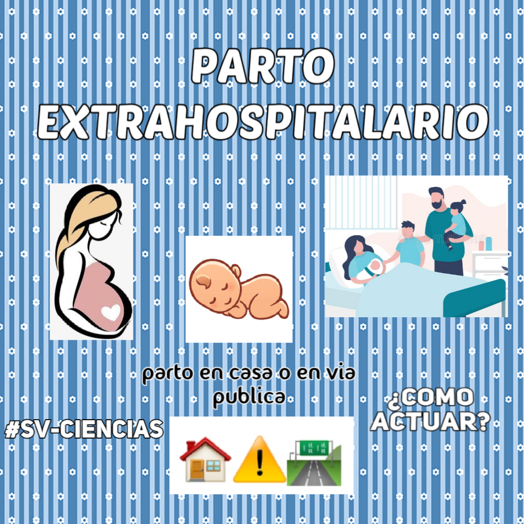 Photo_1646418078804.png