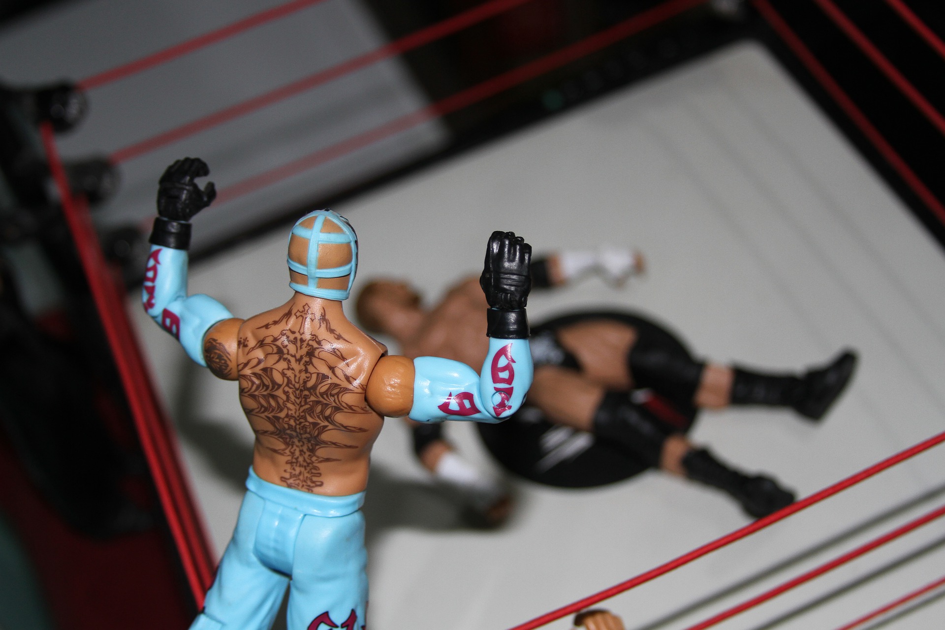 wwe-g0a9fd574e_1920.jpg
