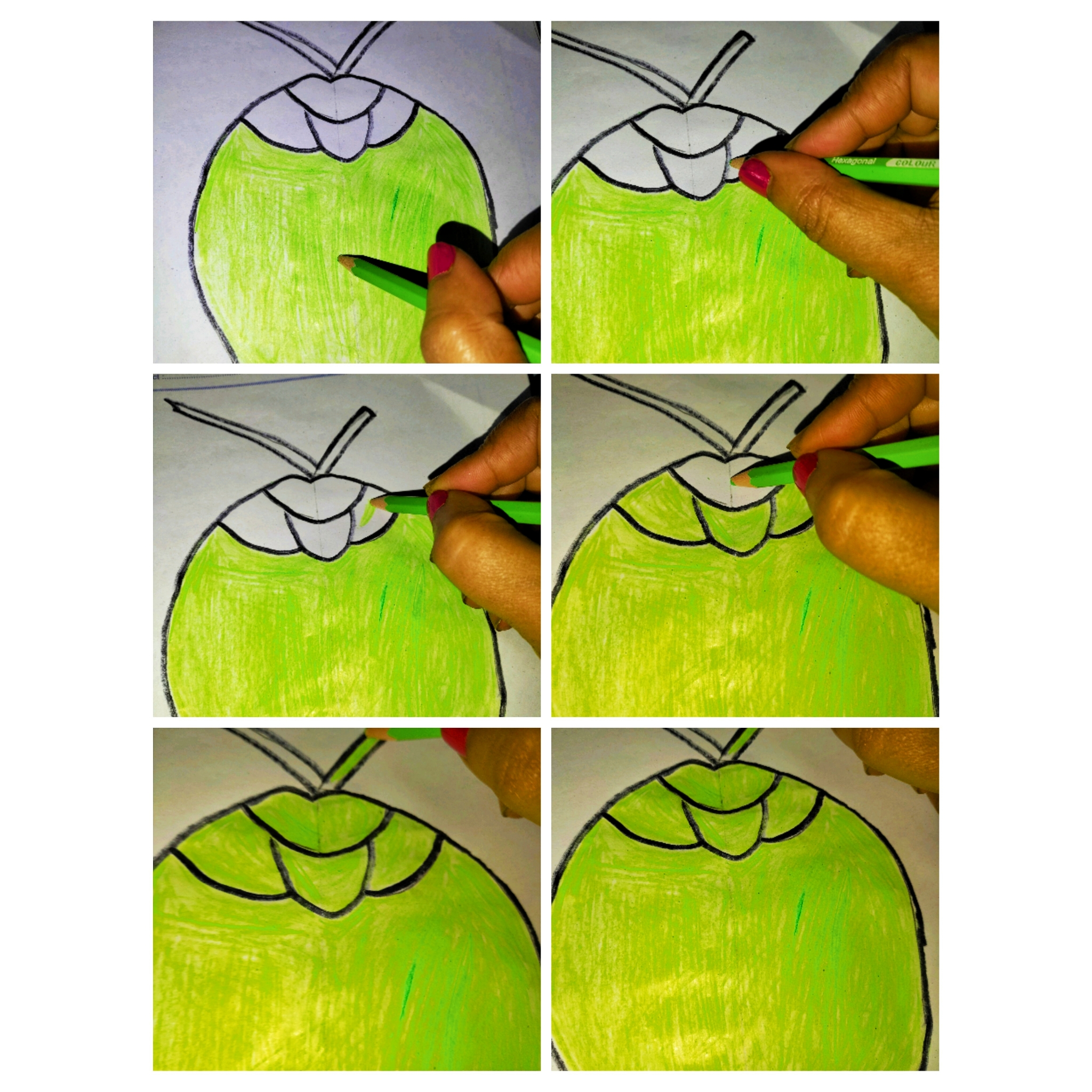 PhotoCollage_1706278951552.jpg