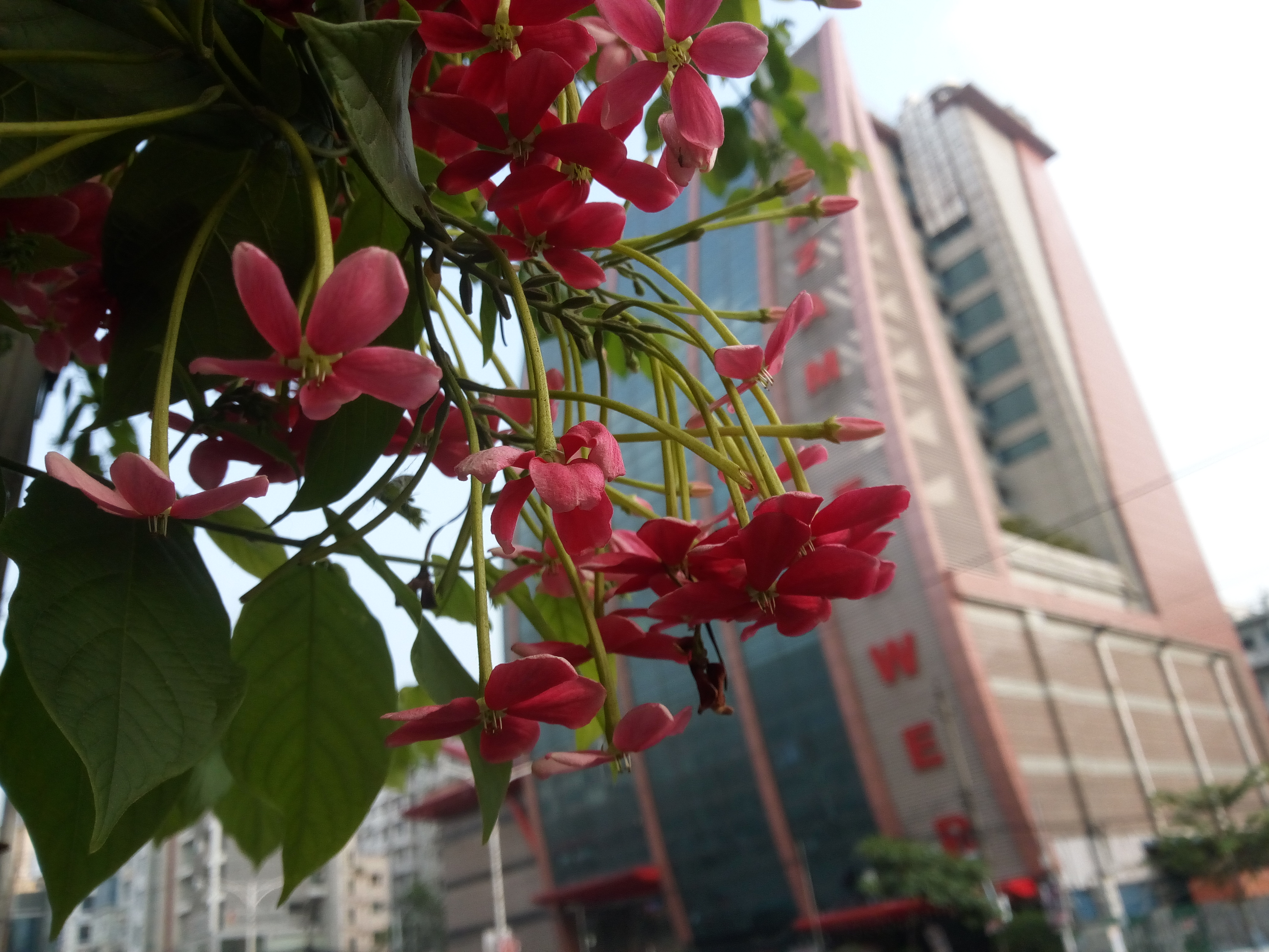 IMG_20210923_163153.jpg