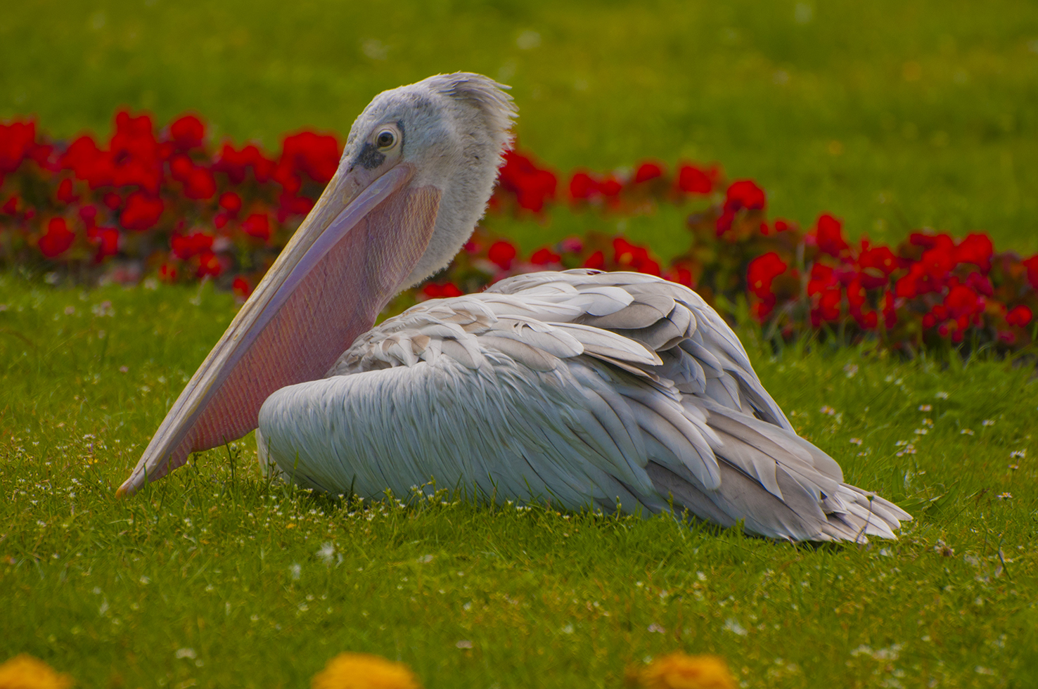 DSC_5595.jpg