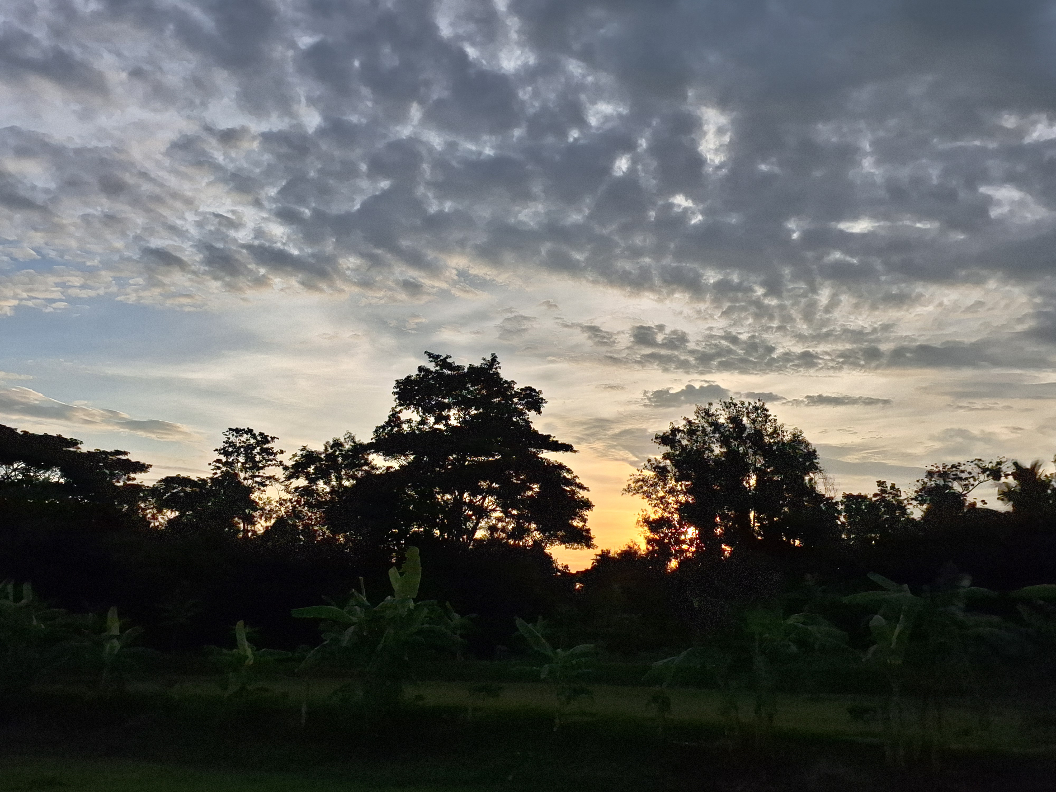 20240525_053531.jpg
