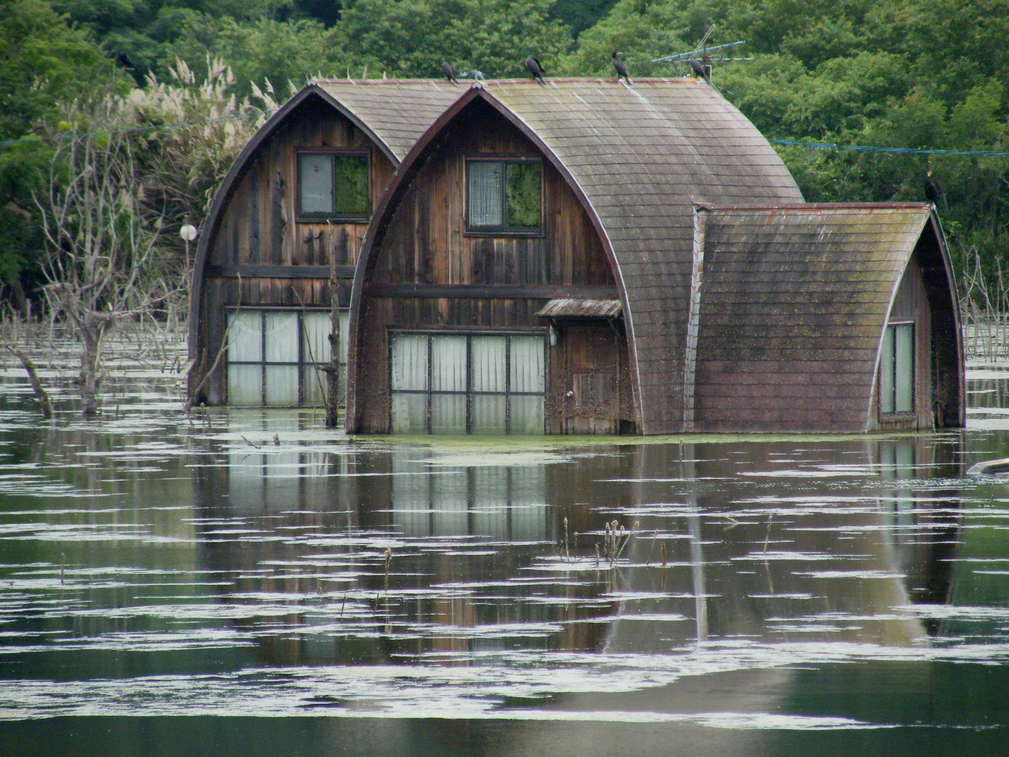ziggy_306-village-5444789.jpg