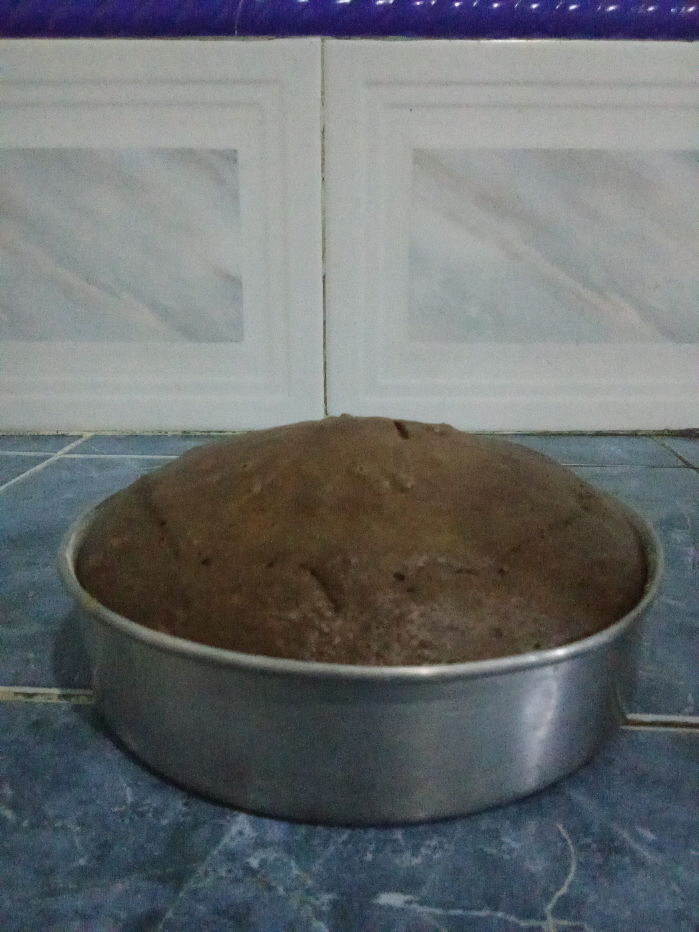 1000272265.jpg