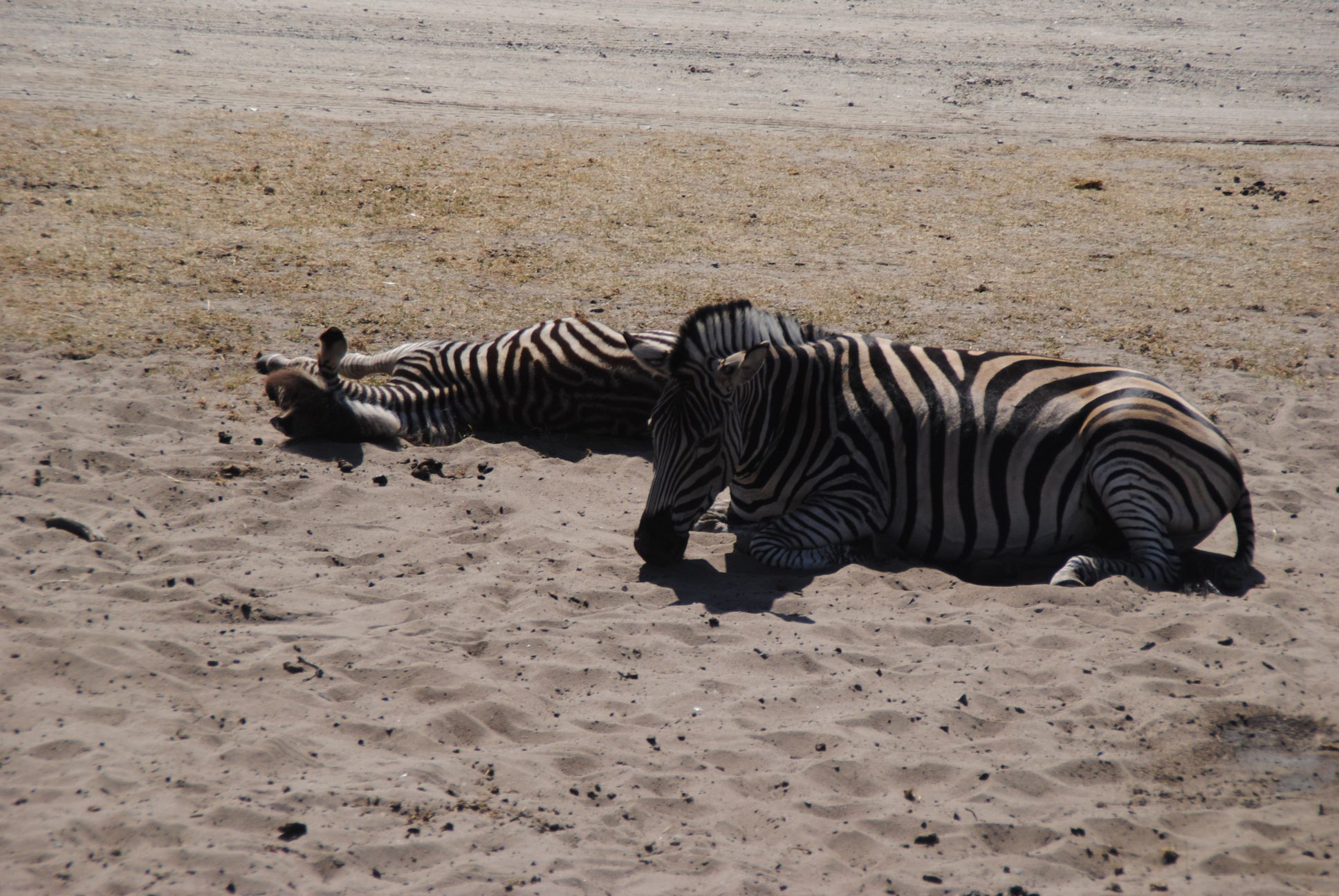 image056.jpg