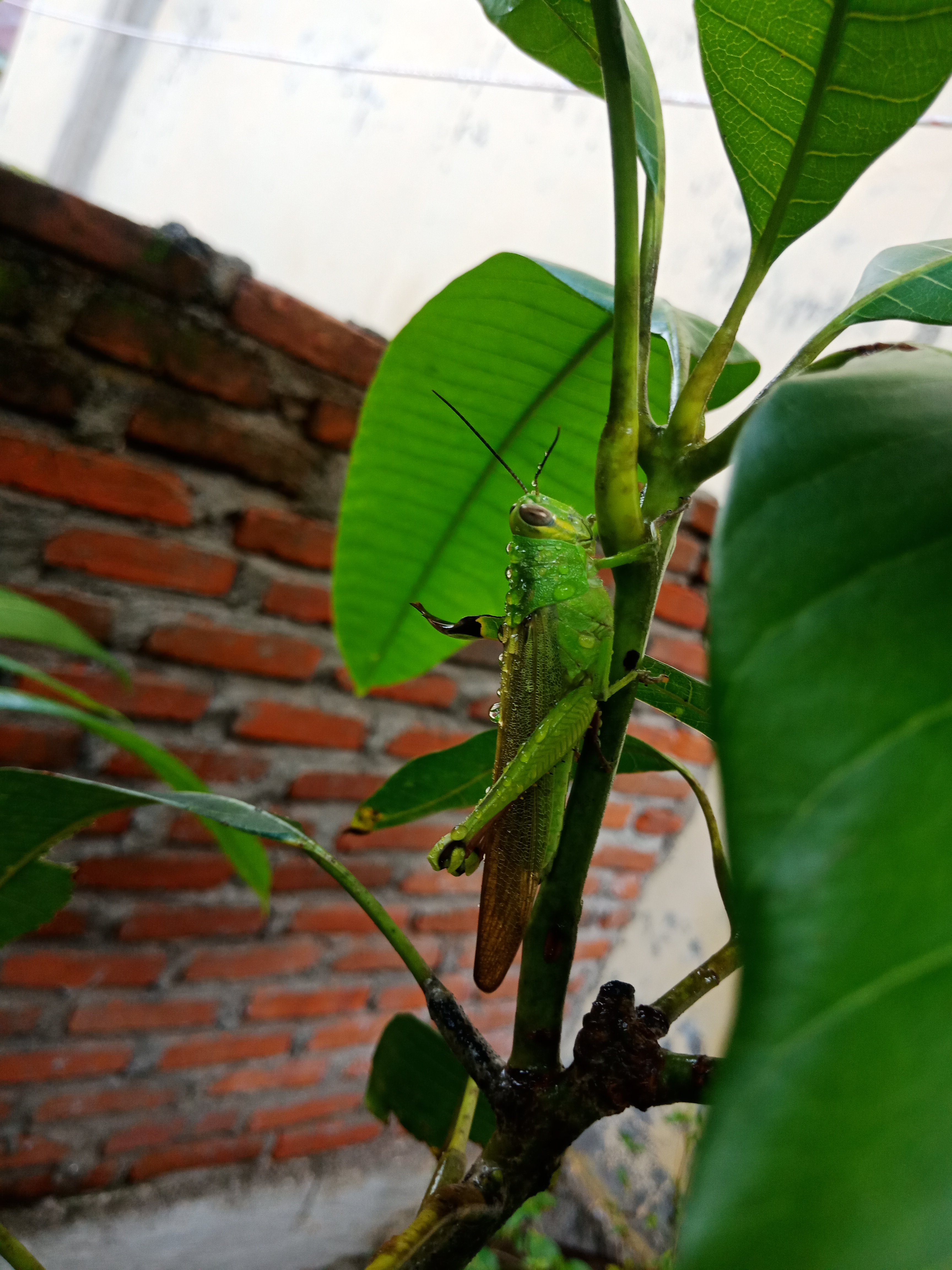IMG20220101082253.jpg