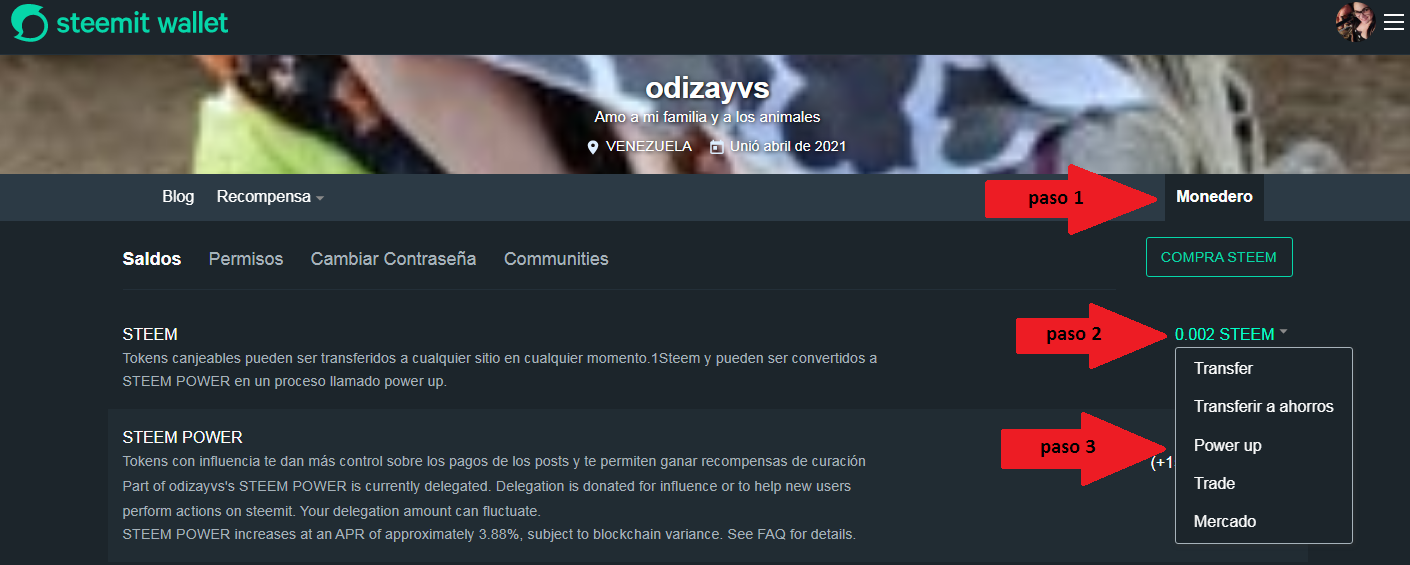 paso 1, 2 y 3.png