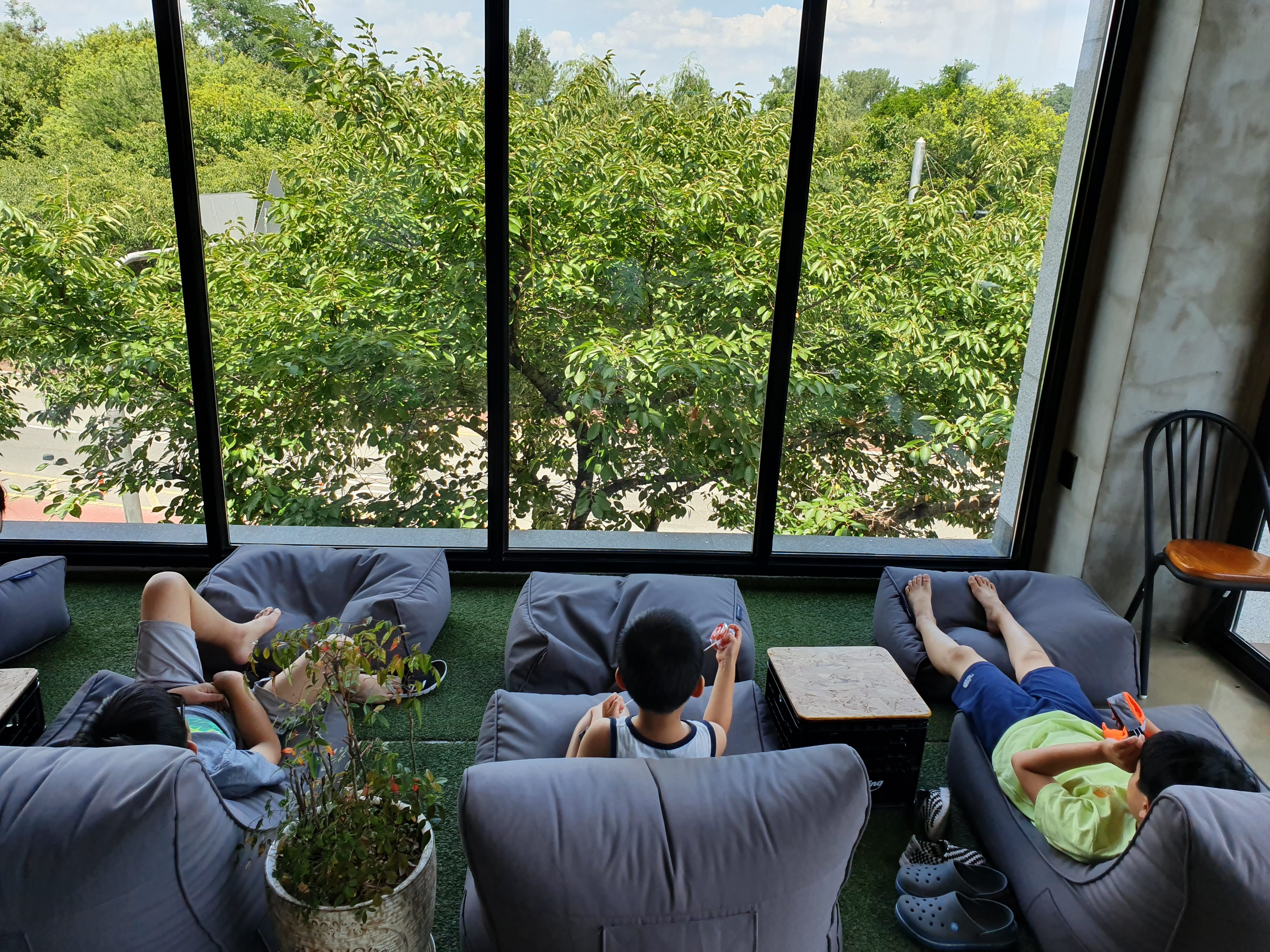 20190802_123138.jpg