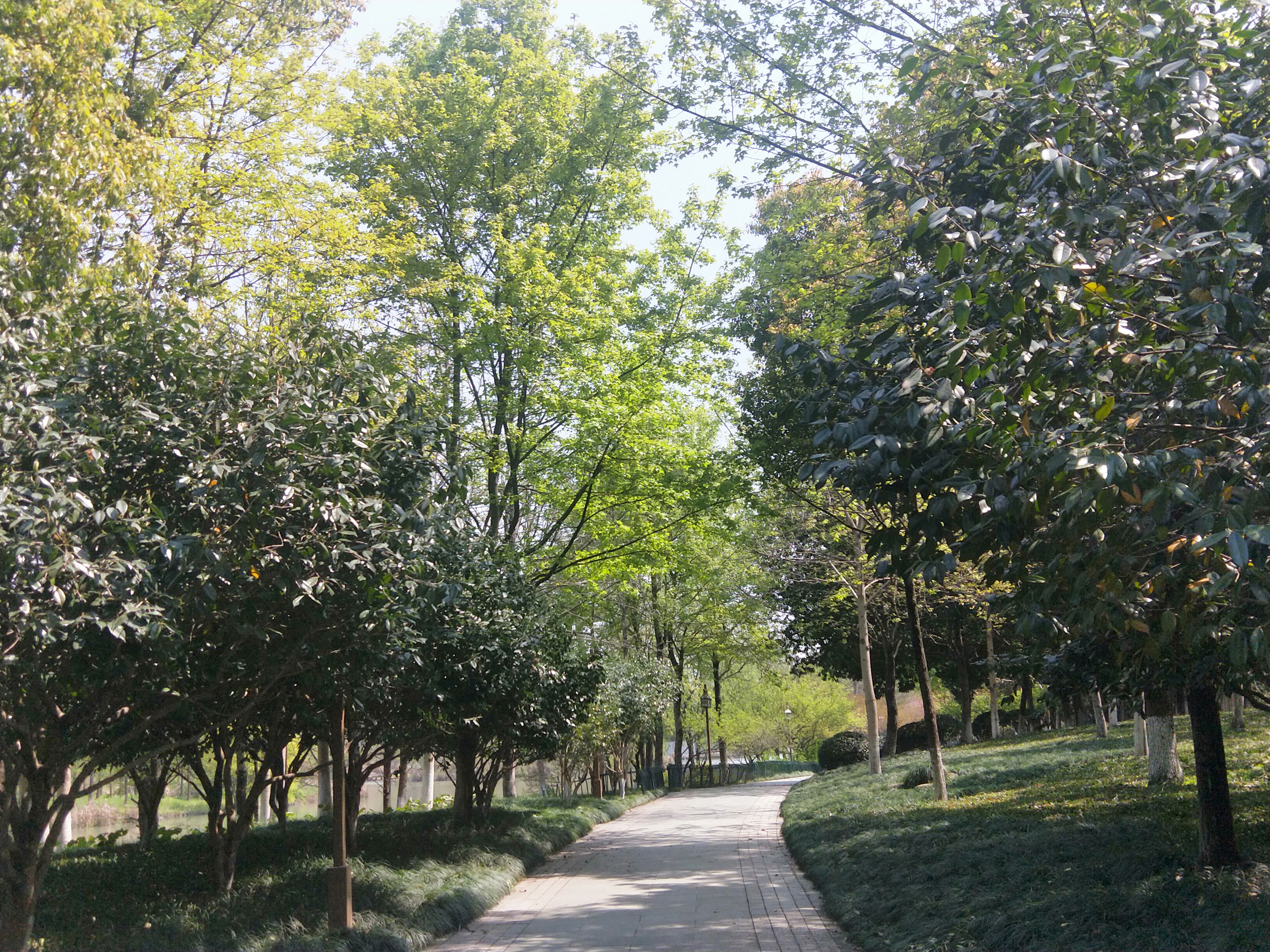 IMG20190405110234.jpg