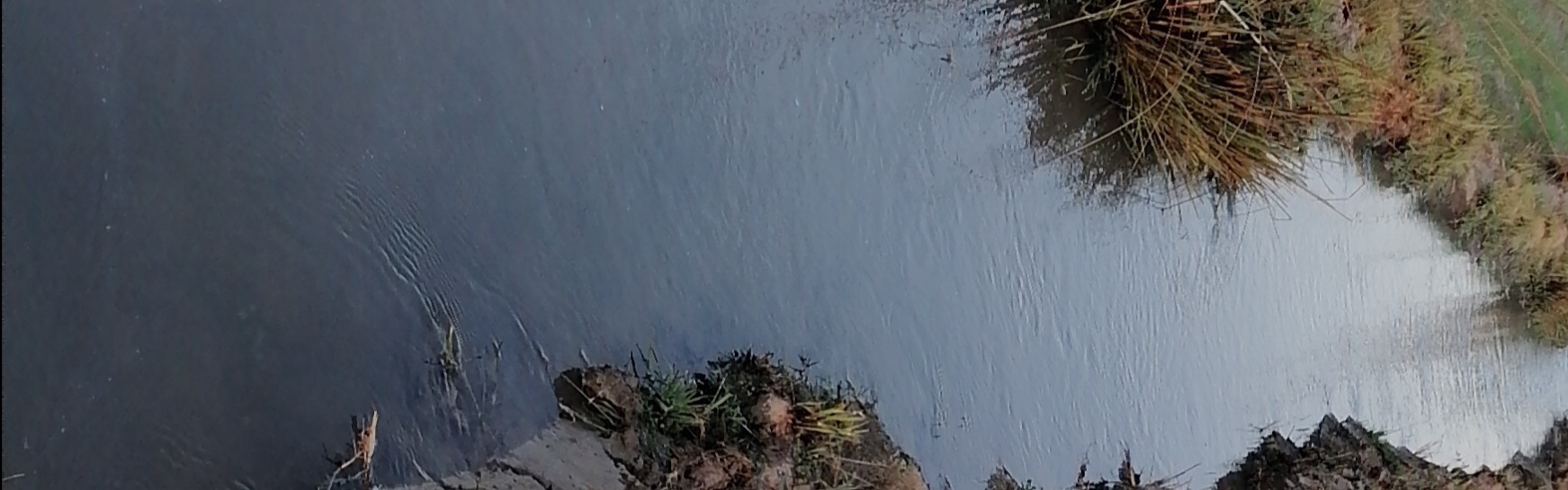 IMG_20210206_155337.jpg