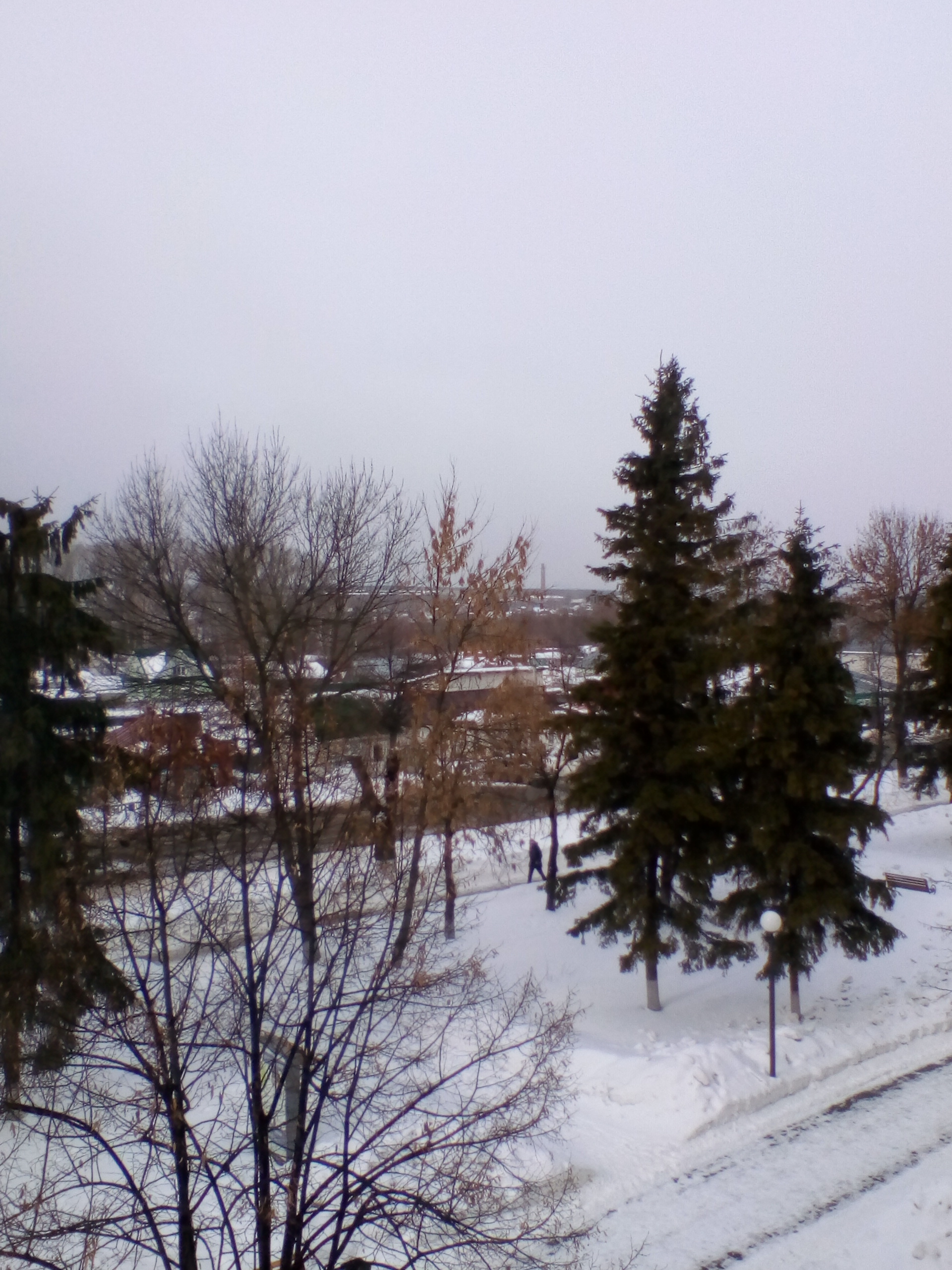 IMG_20190226_134459.jpg