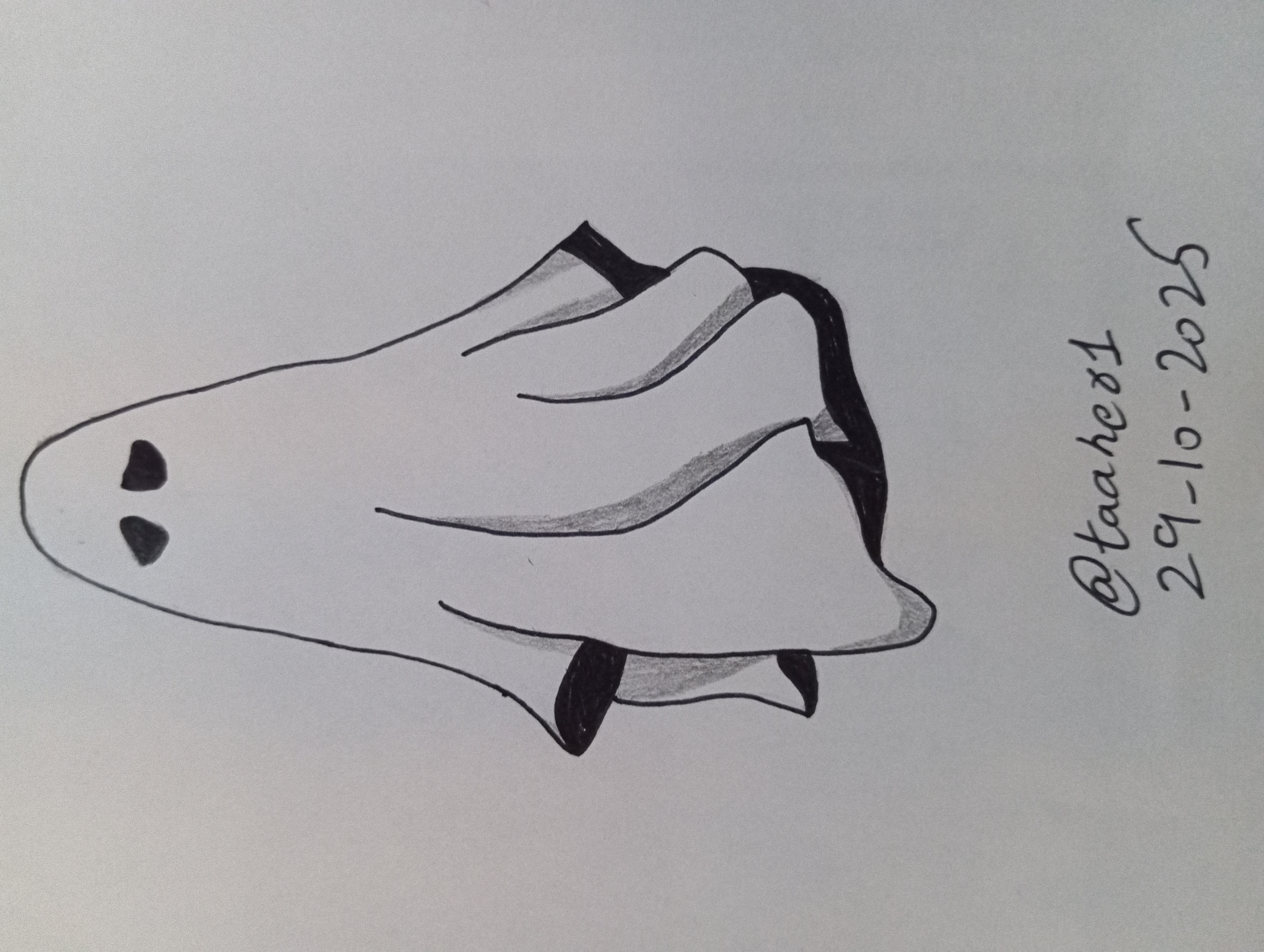 1000124018.jpg