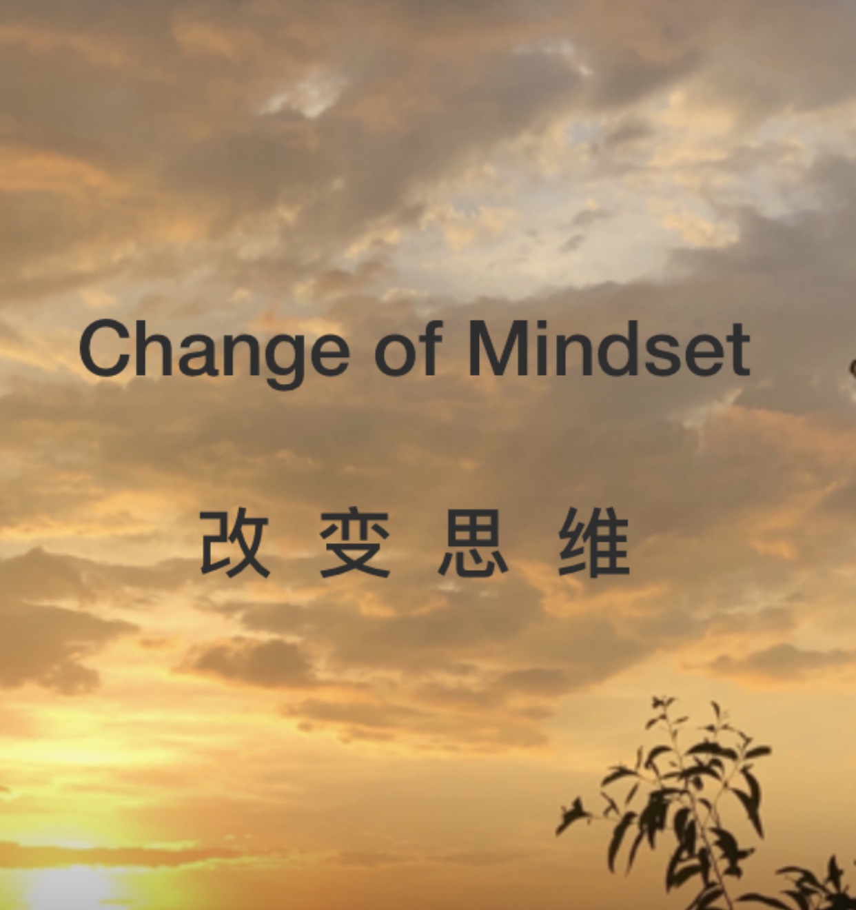 42012F36-AB08-4E8D-B5C1-7A2A6444AA2F.jpeg