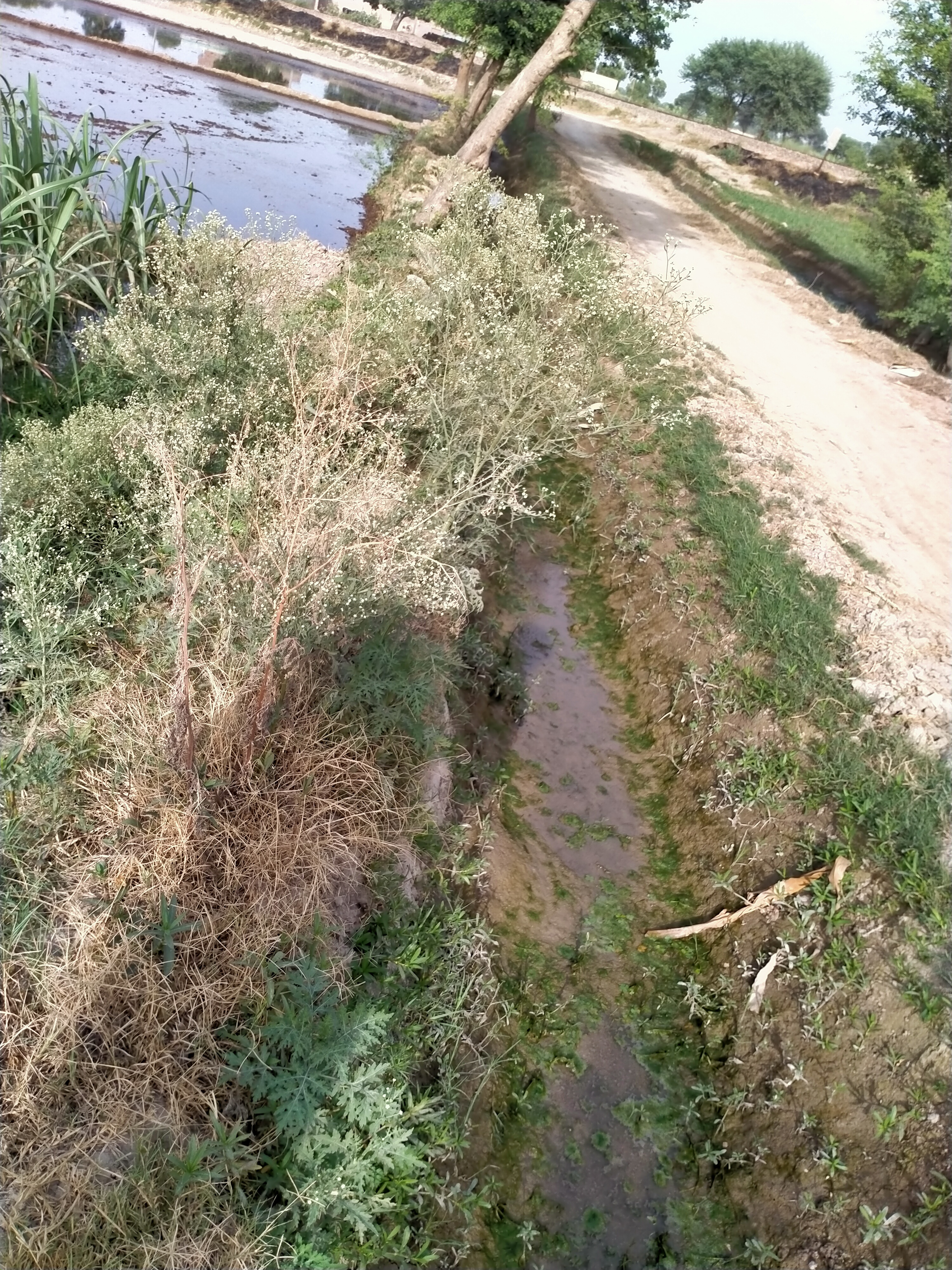 IMG20210529163743.jpg