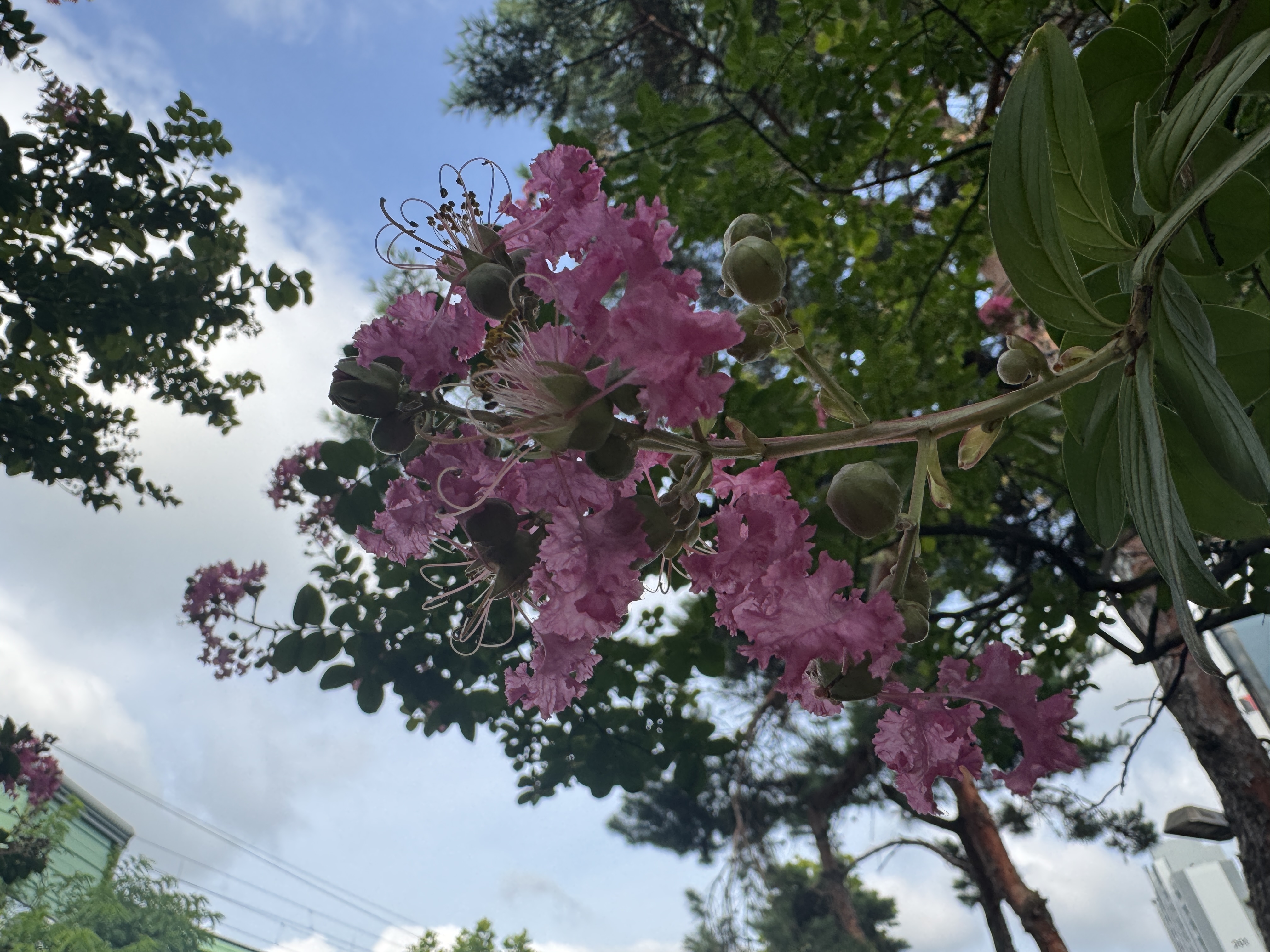 KakaoTalk_20260725_223417239.jpg