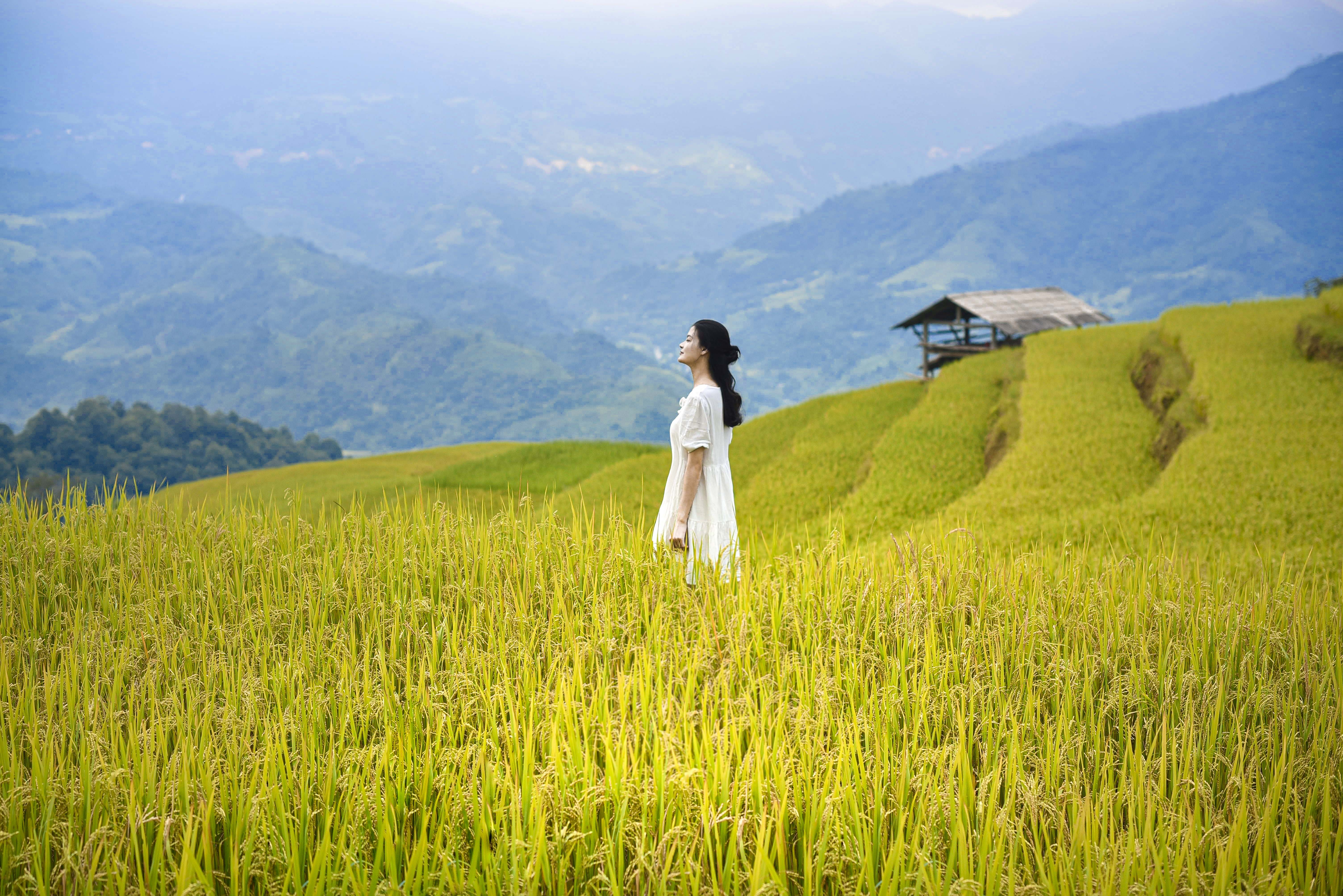 thanhvu68-vietnam-8047523.jpg