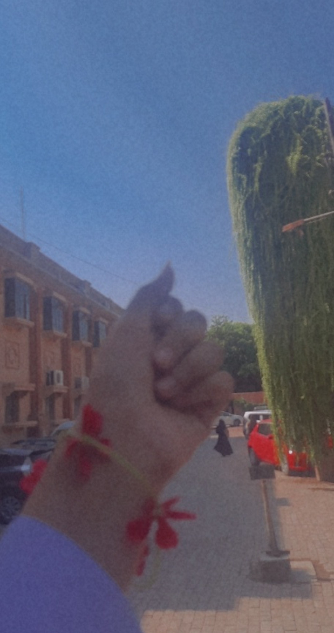 Screenshot_20211124-214520_Gallery.jpg