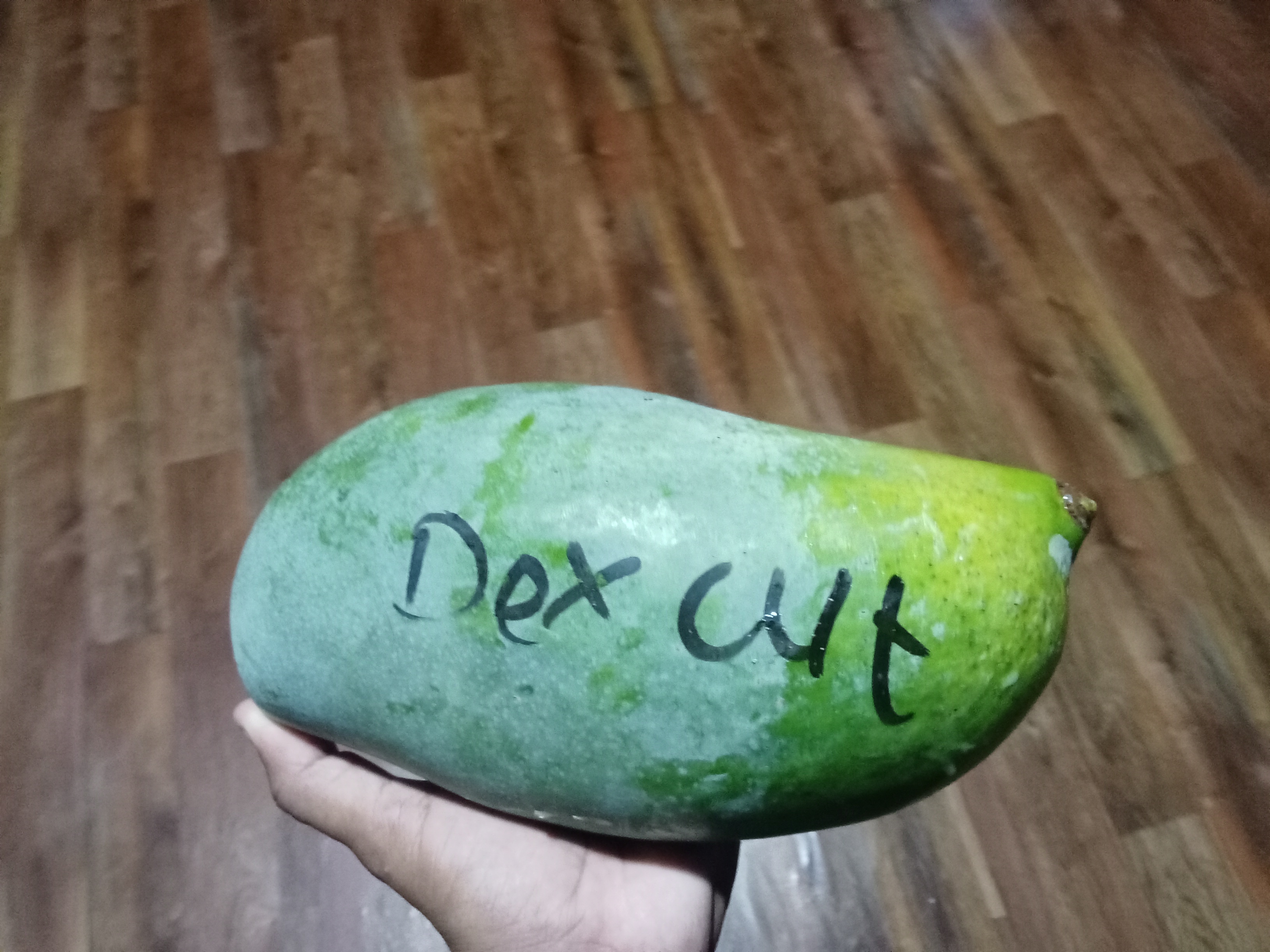 1000119174.jpg