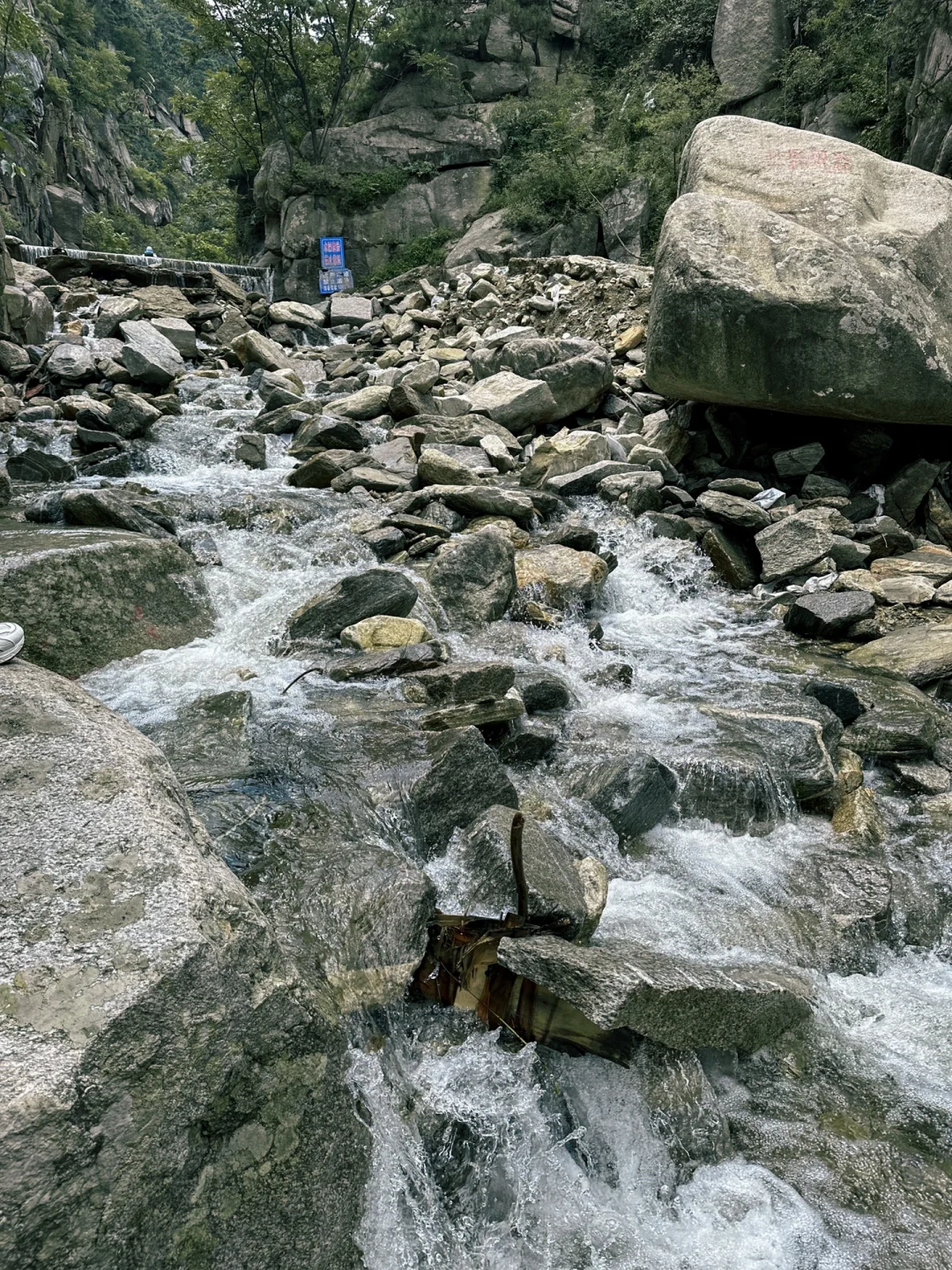 51.webp
