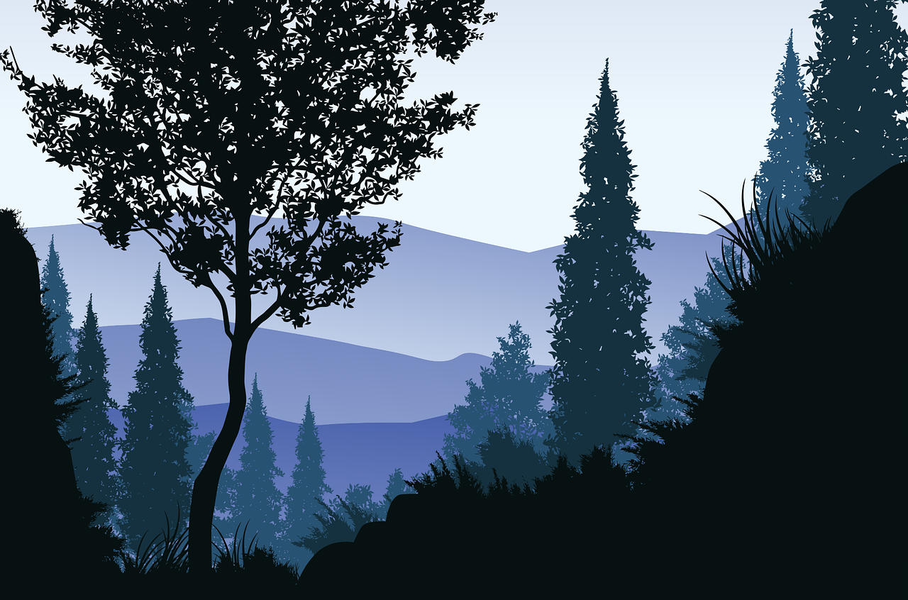 forest-4824759_1280.png