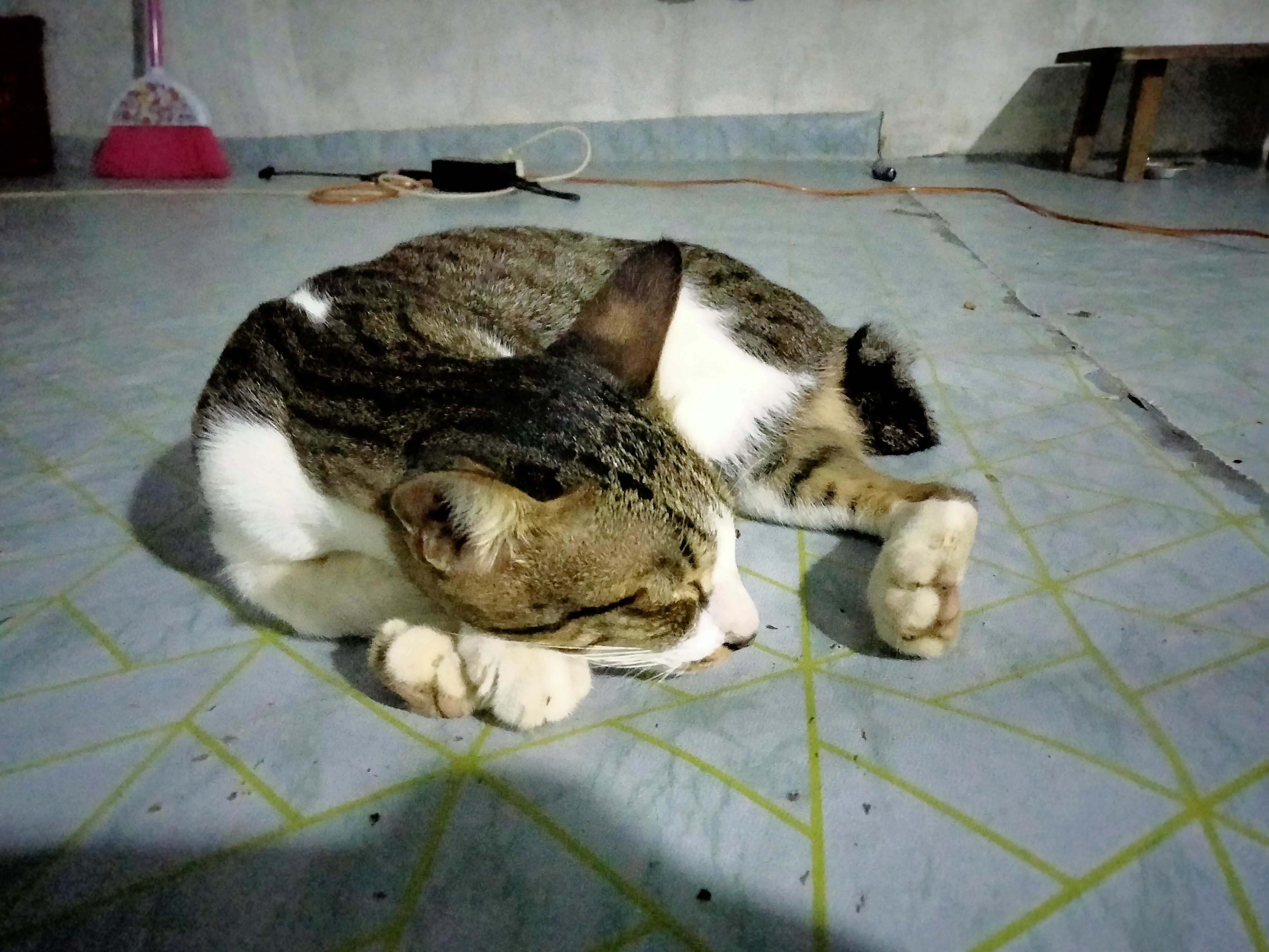 IMG20260715210423.jpg